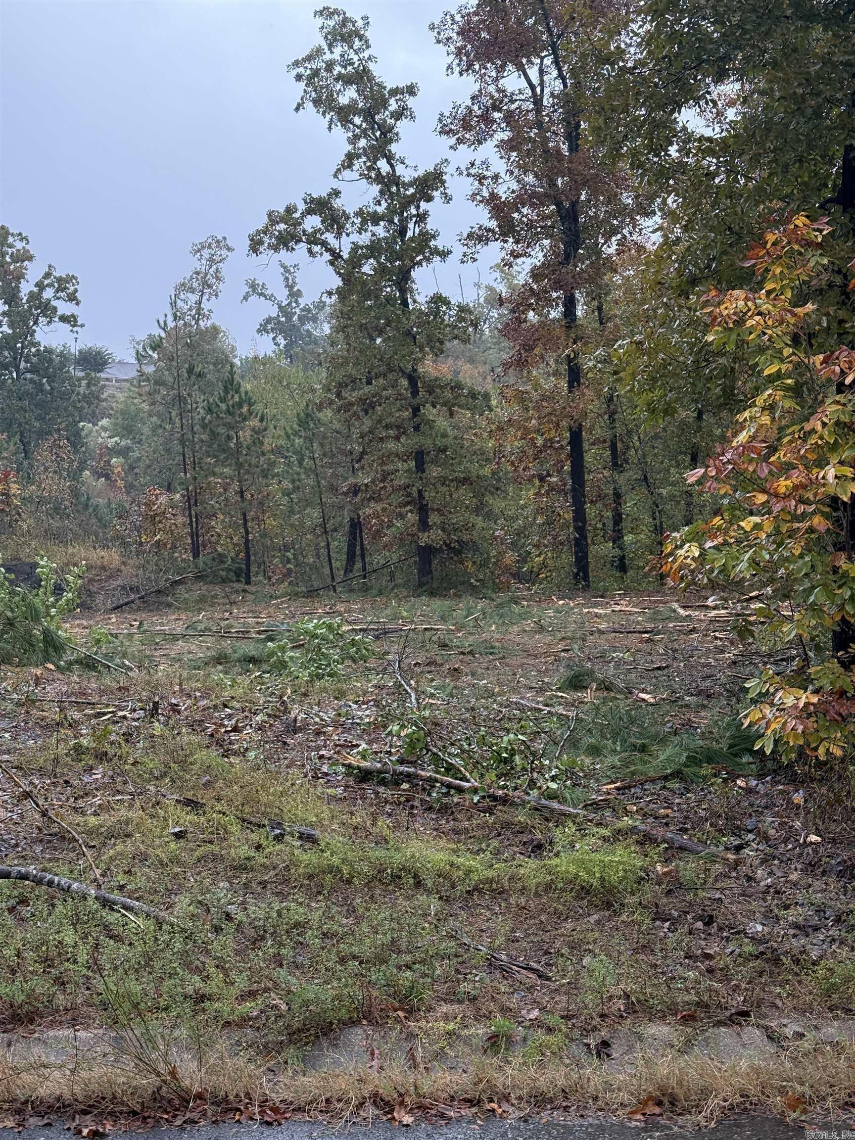 000 Palos Verdes  Hot Springs, AR