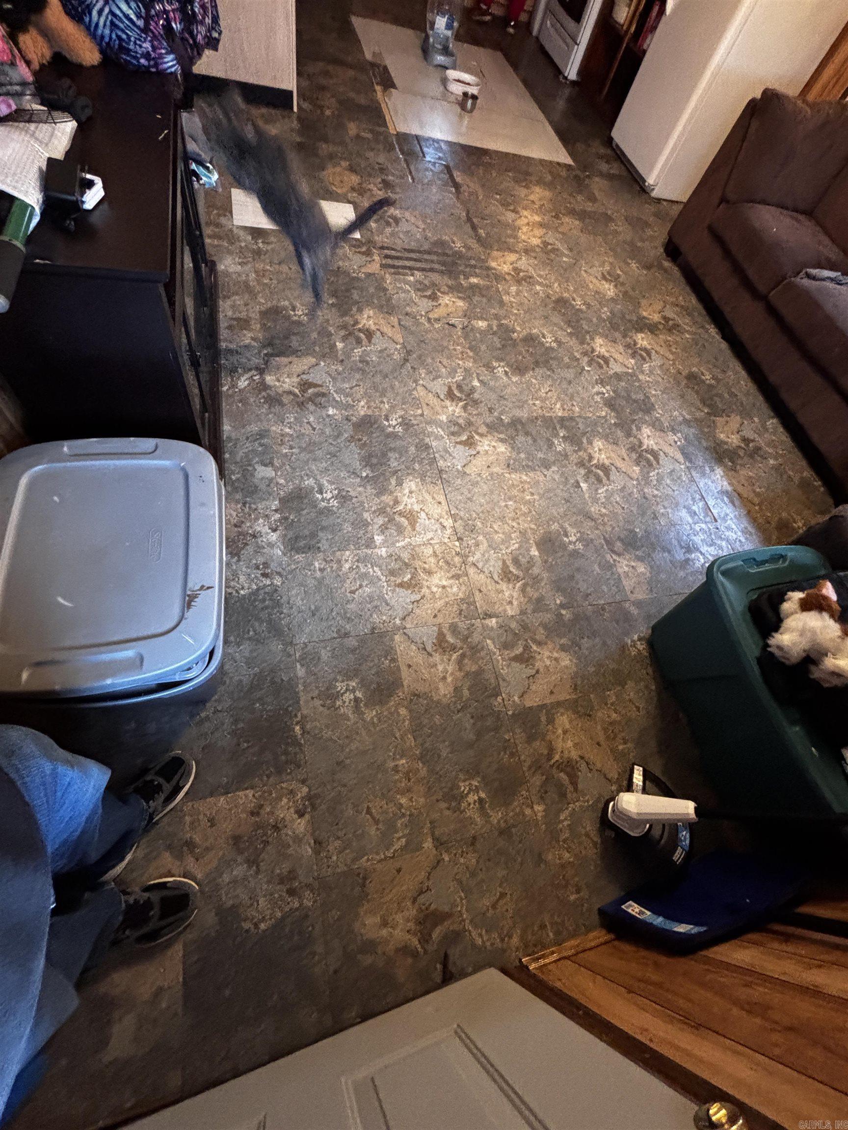 314 Yellowjacket Ln  Clinton, AR