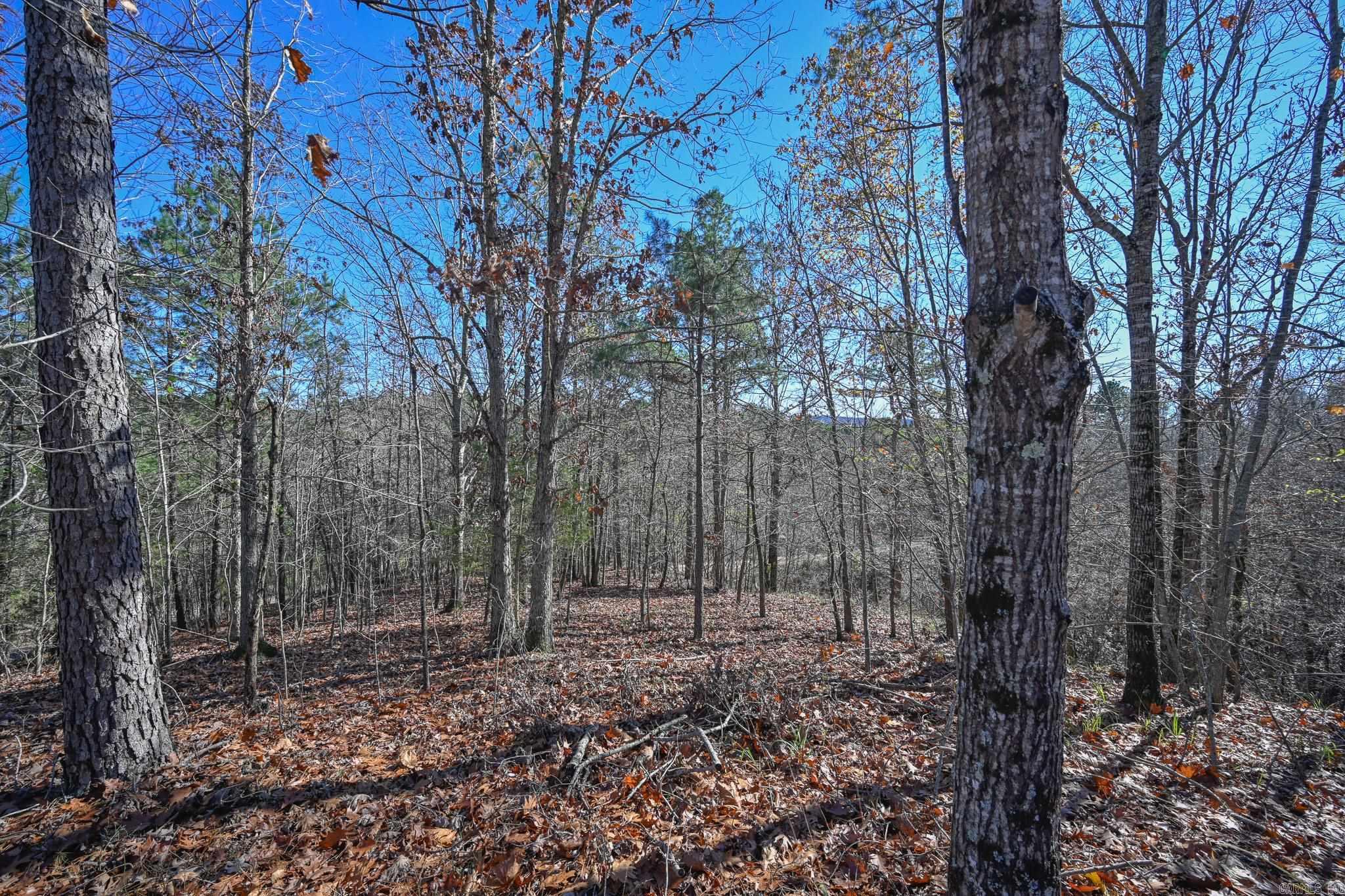 540 Polk Road 78  Mena, AR