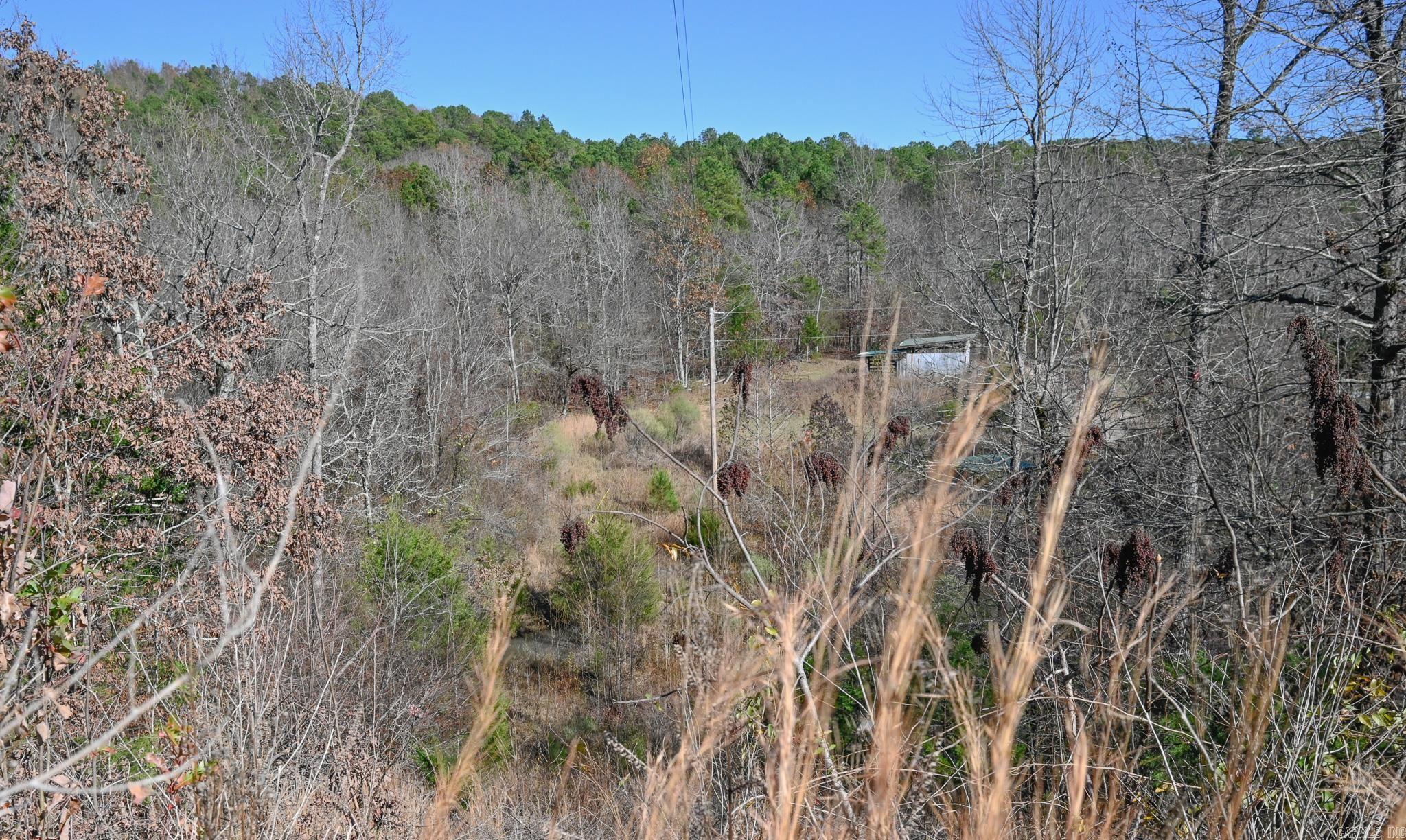 540 Polk Road 78  Mena, AR