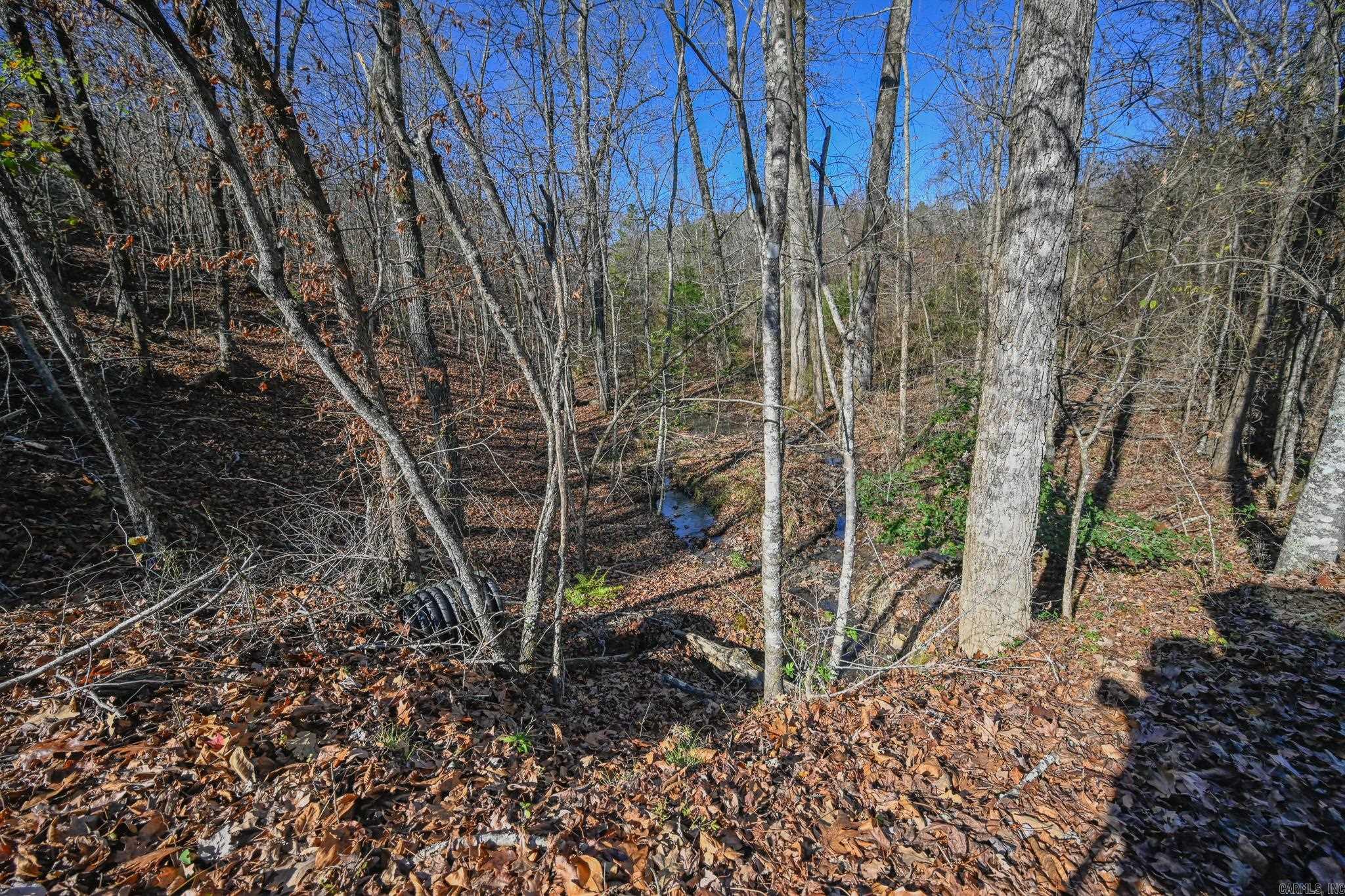 540 Polk Road 78  Mena, AR