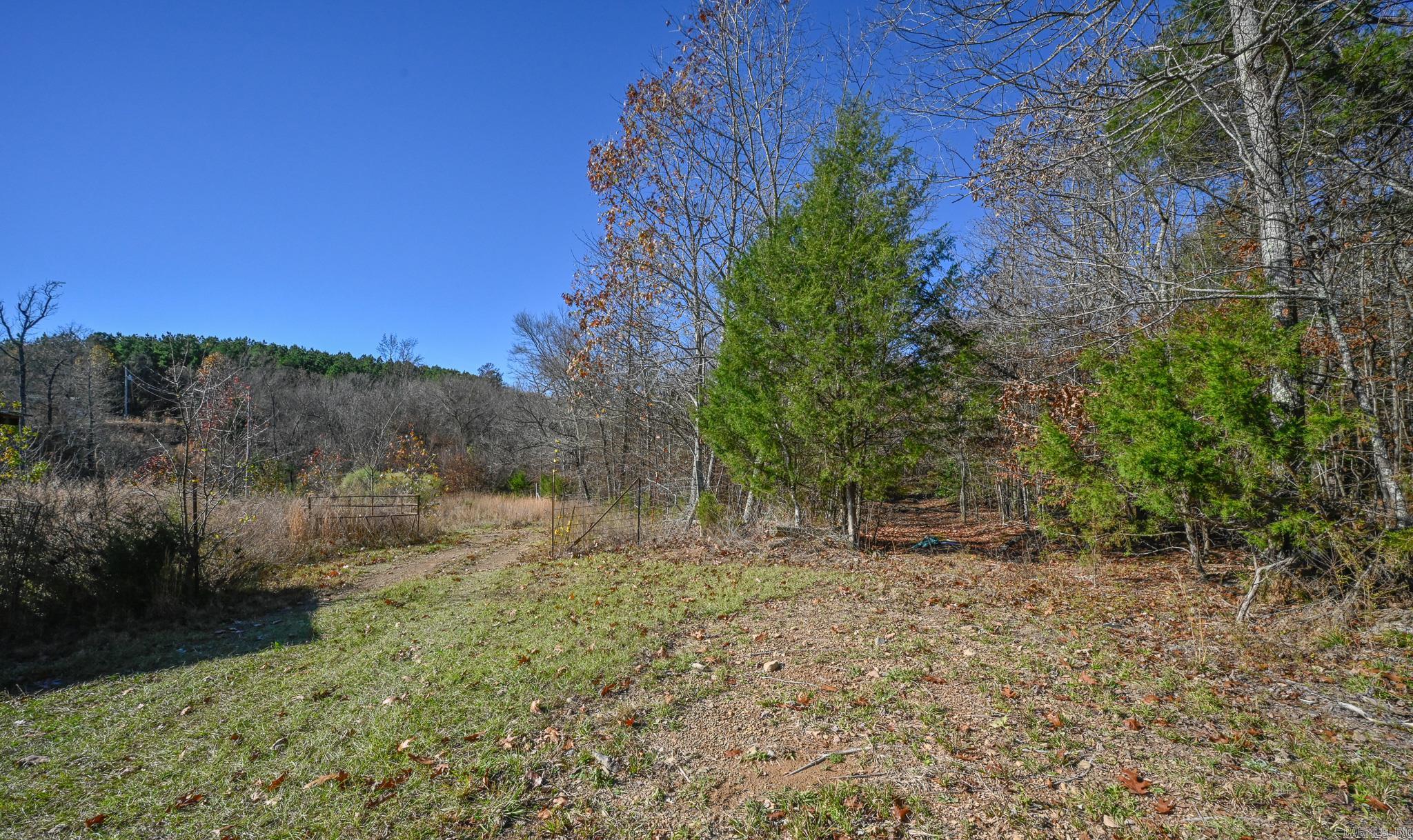 540 Polk Road 78  Mena, AR