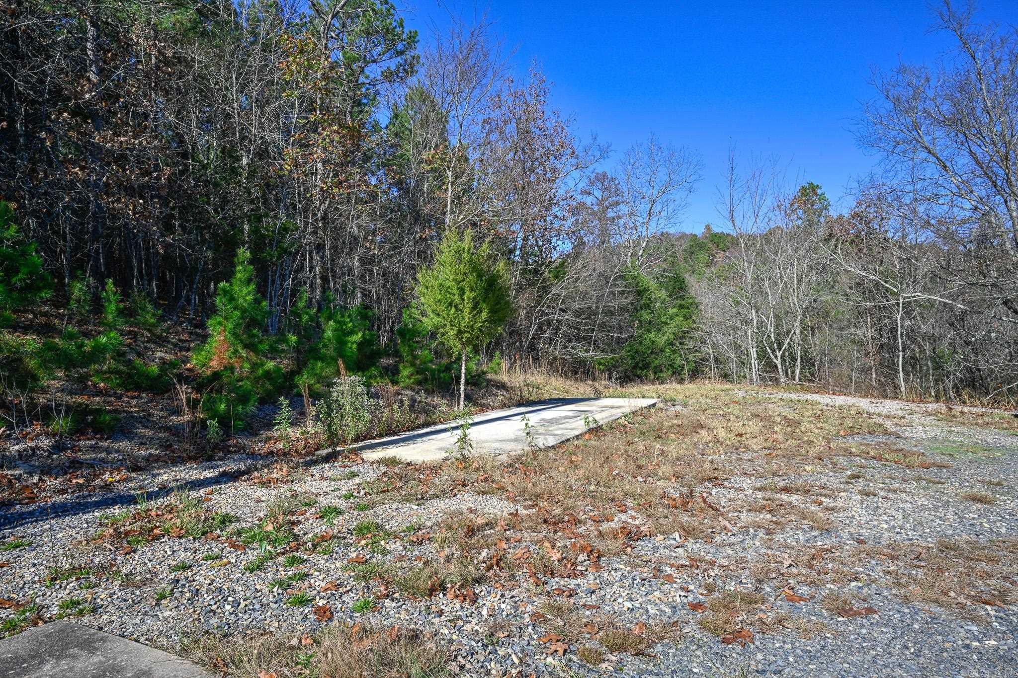 540 Polk Road 78  Mena, AR