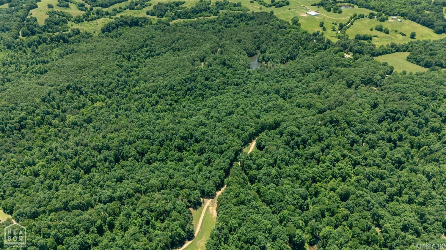 29 Acres County Road 303  Cherry Valley, AR