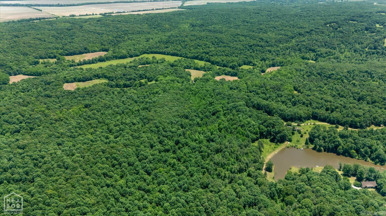 29 Acres County Road 303  Cherry Valley, AR