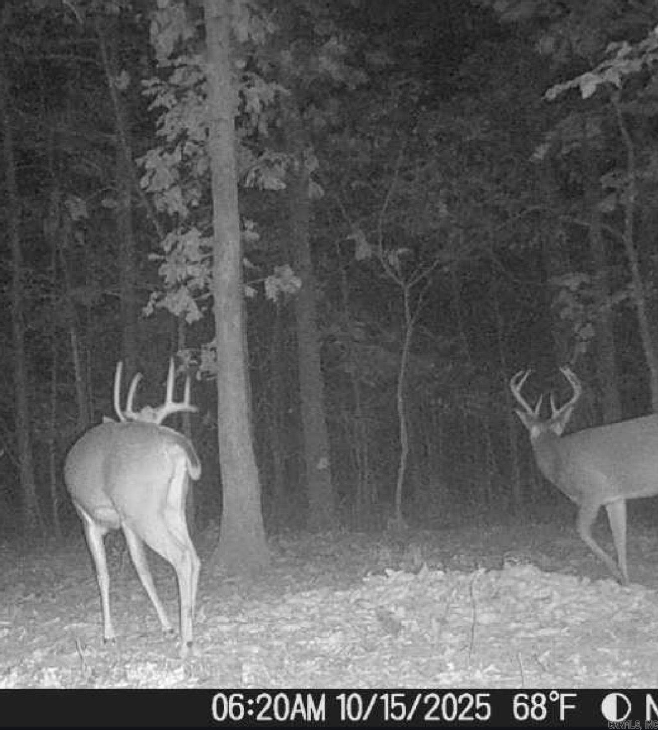 29 Acres County Road 303  Cherry Valley, AR