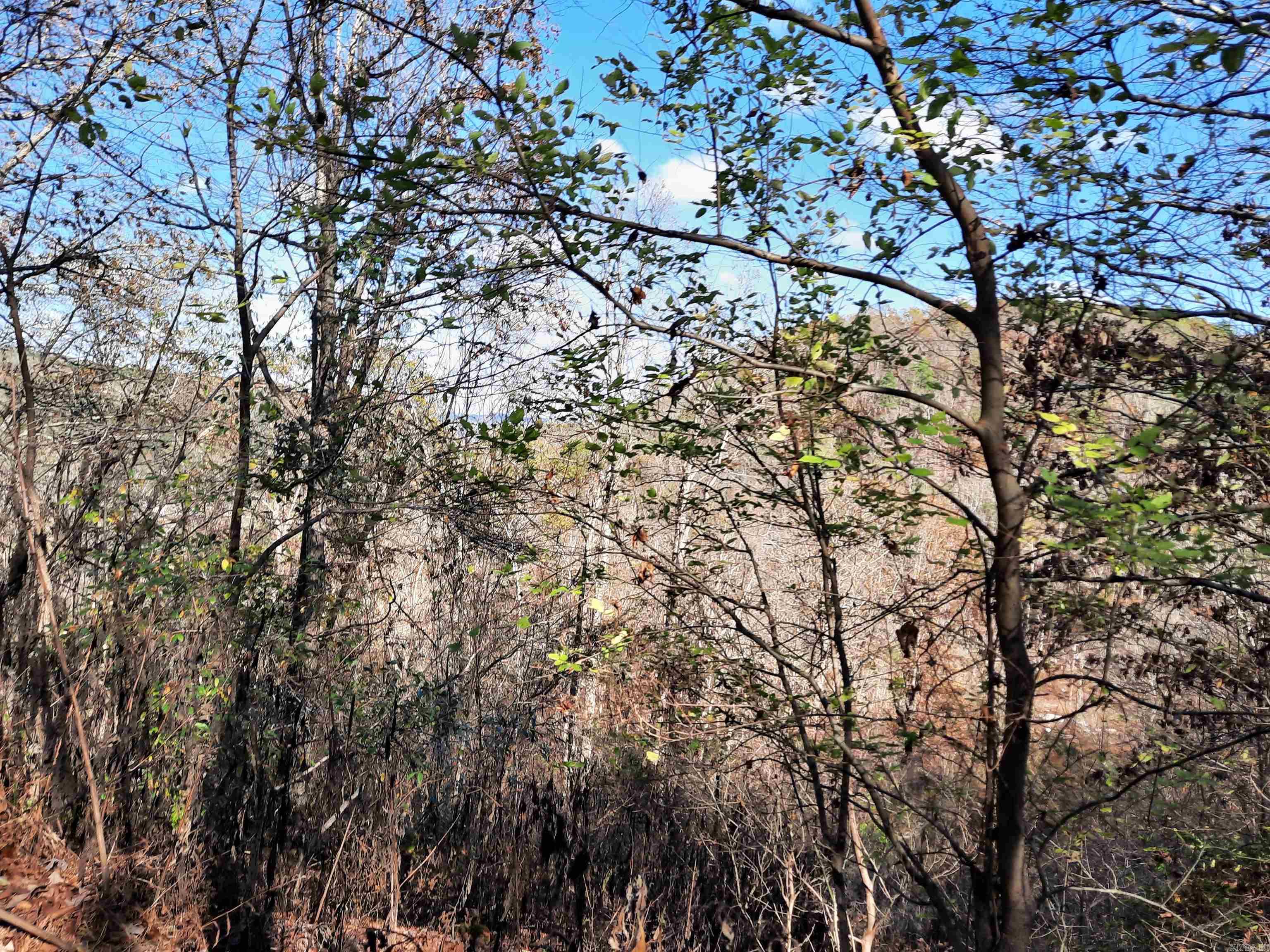 000 S hwy 9  Mountain View, AR