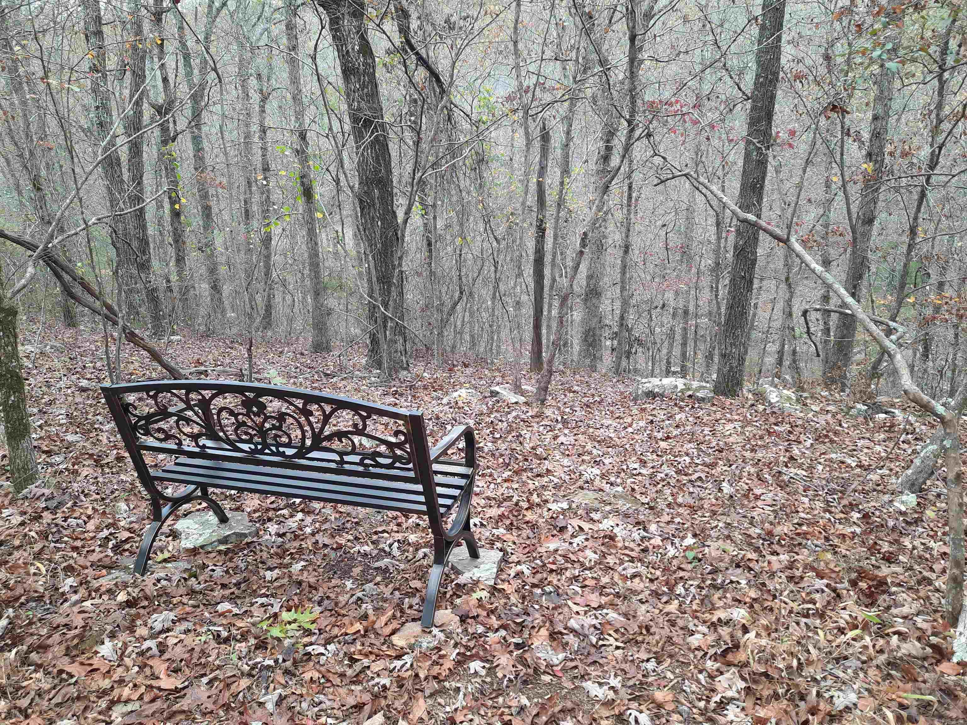 000 S hwy 9  Mountain View, AR