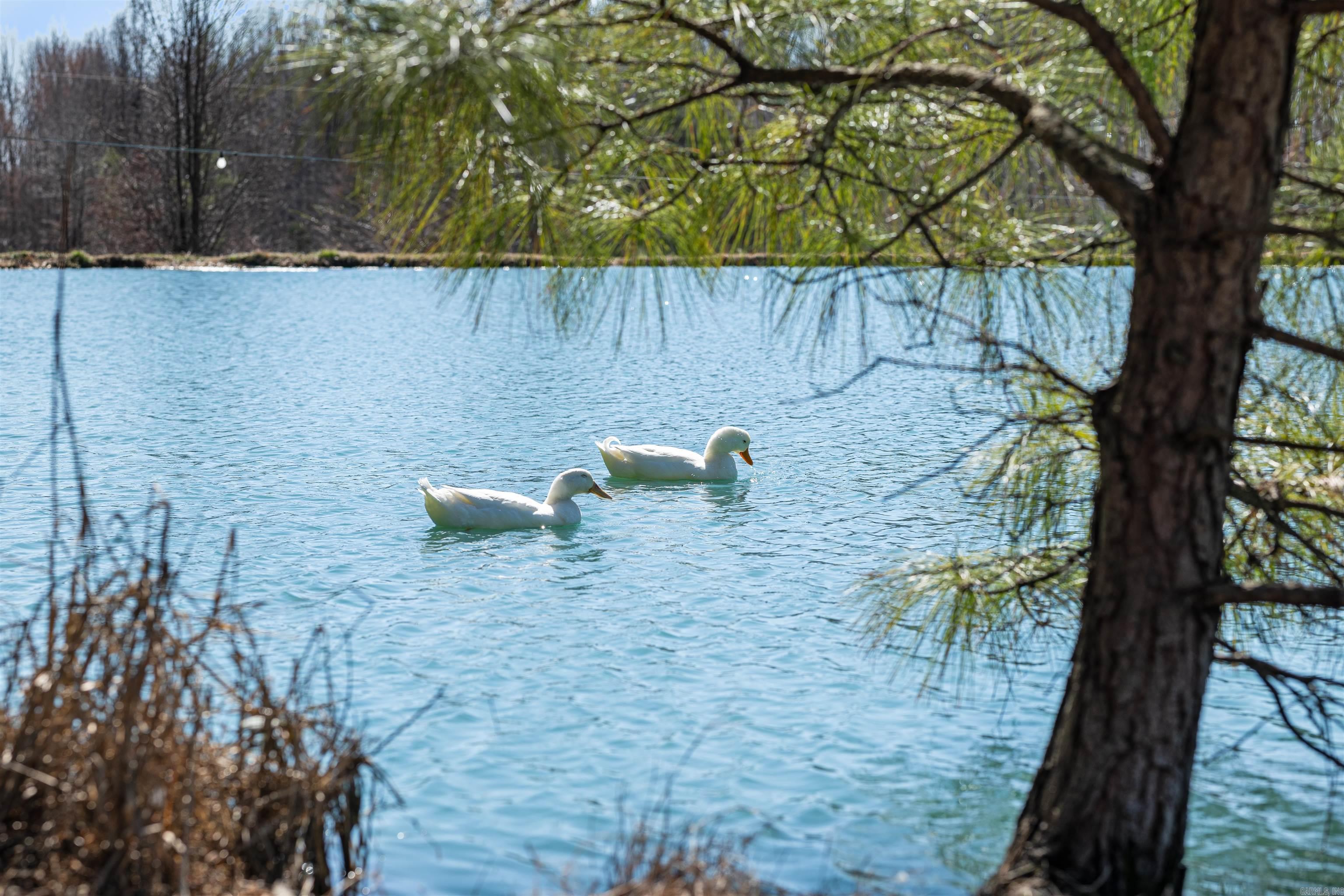 4851 County Road 745  Jonesboro, AR