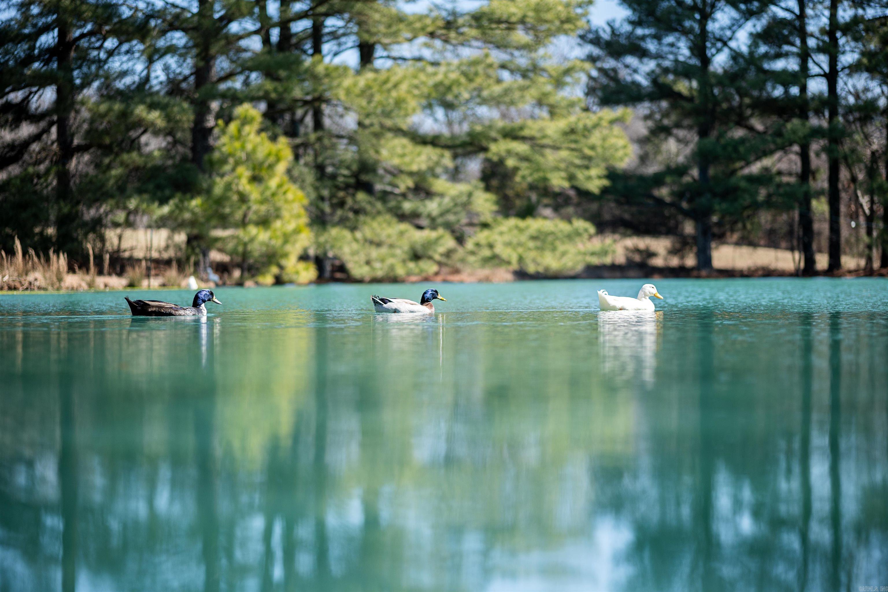 4851 County Road 745  Jonesboro, AR