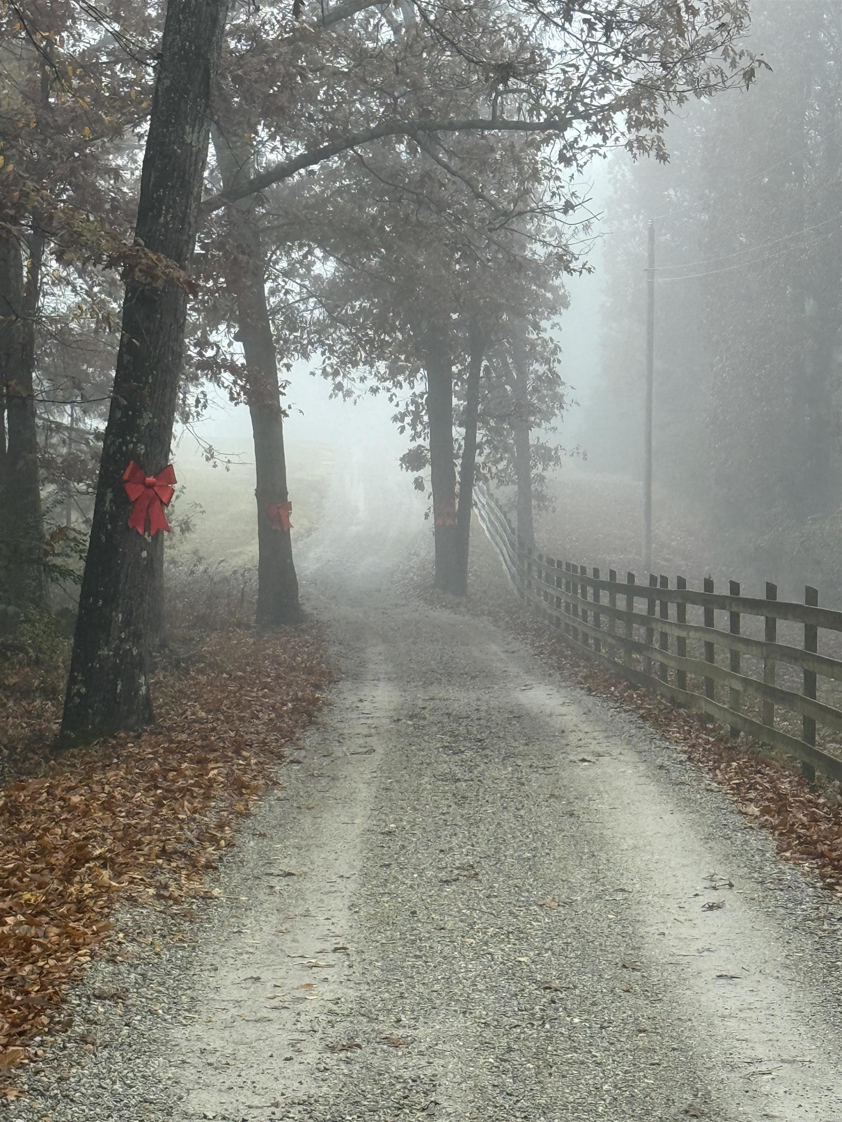 4851 County Road 745  Jonesboro, AR