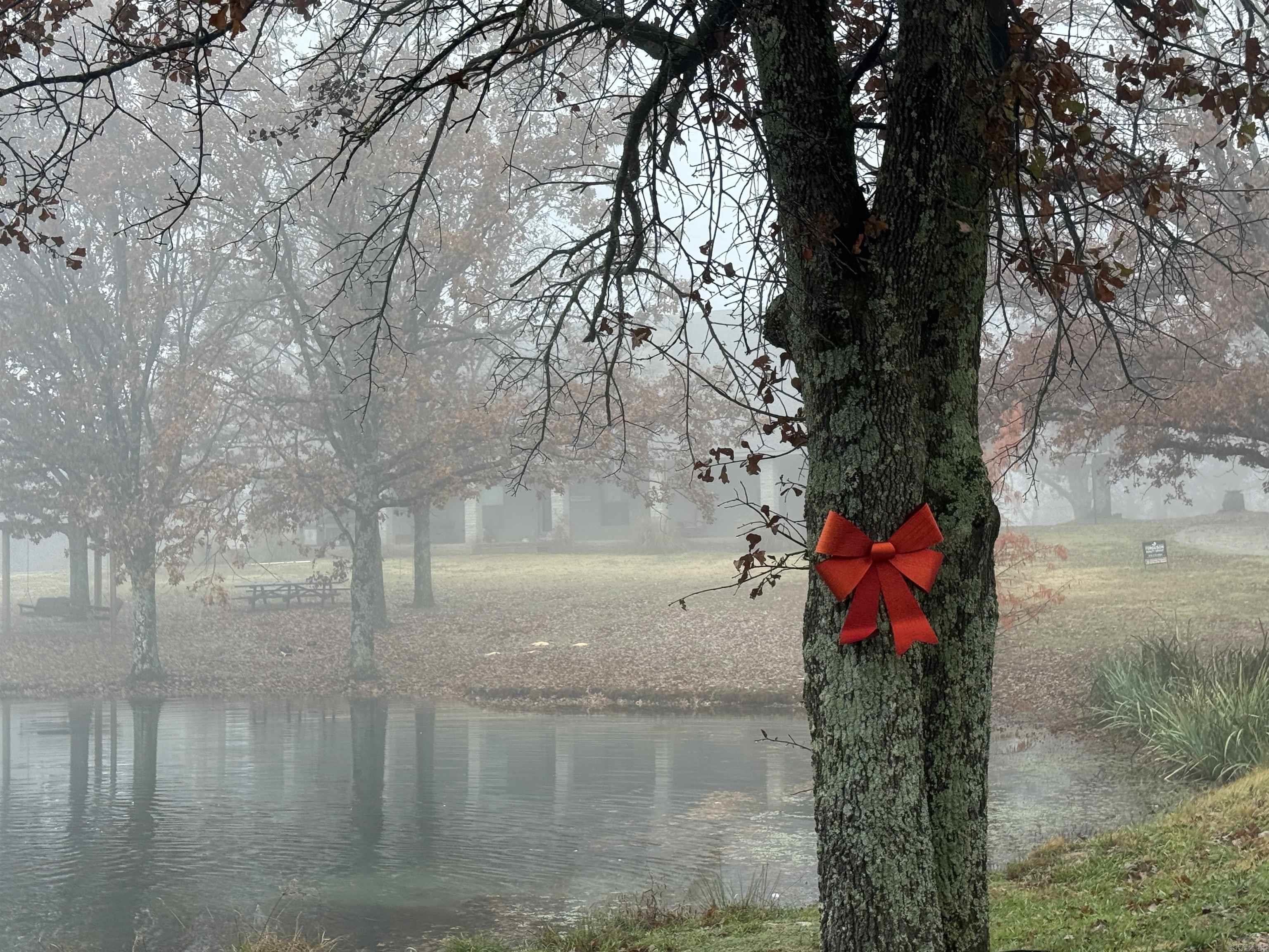 4851 County Road 745  Jonesboro, AR