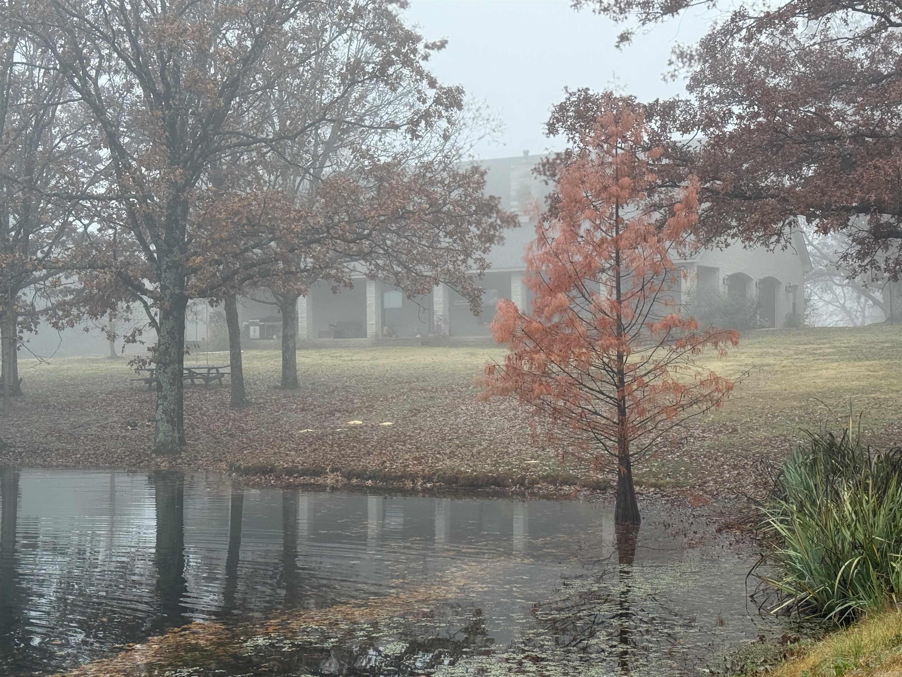 4851 County Road 745  Jonesboro, AR