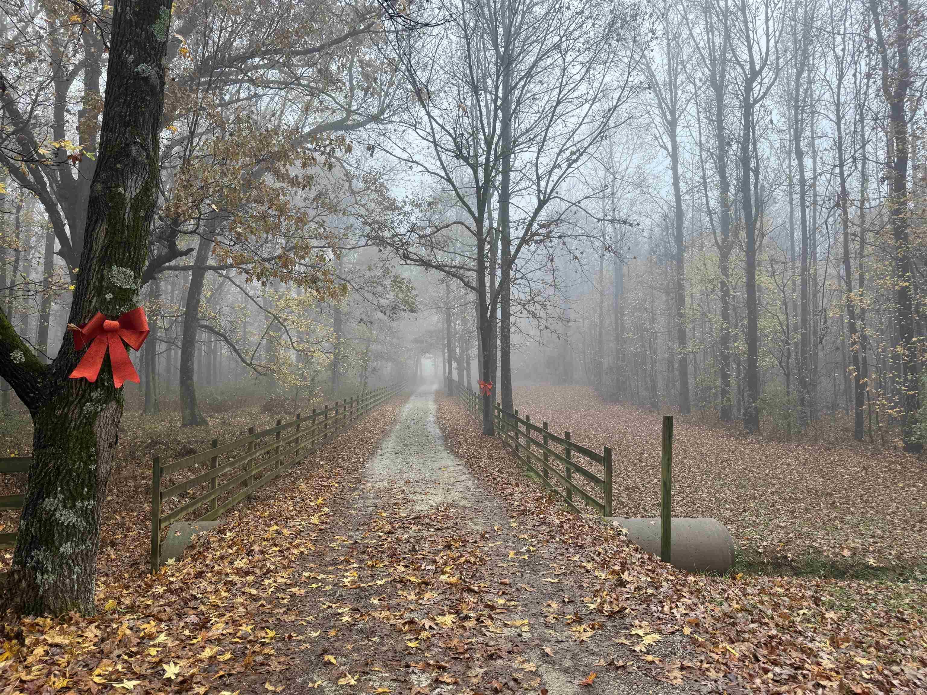 4851 County Road 745  Jonesboro, AR