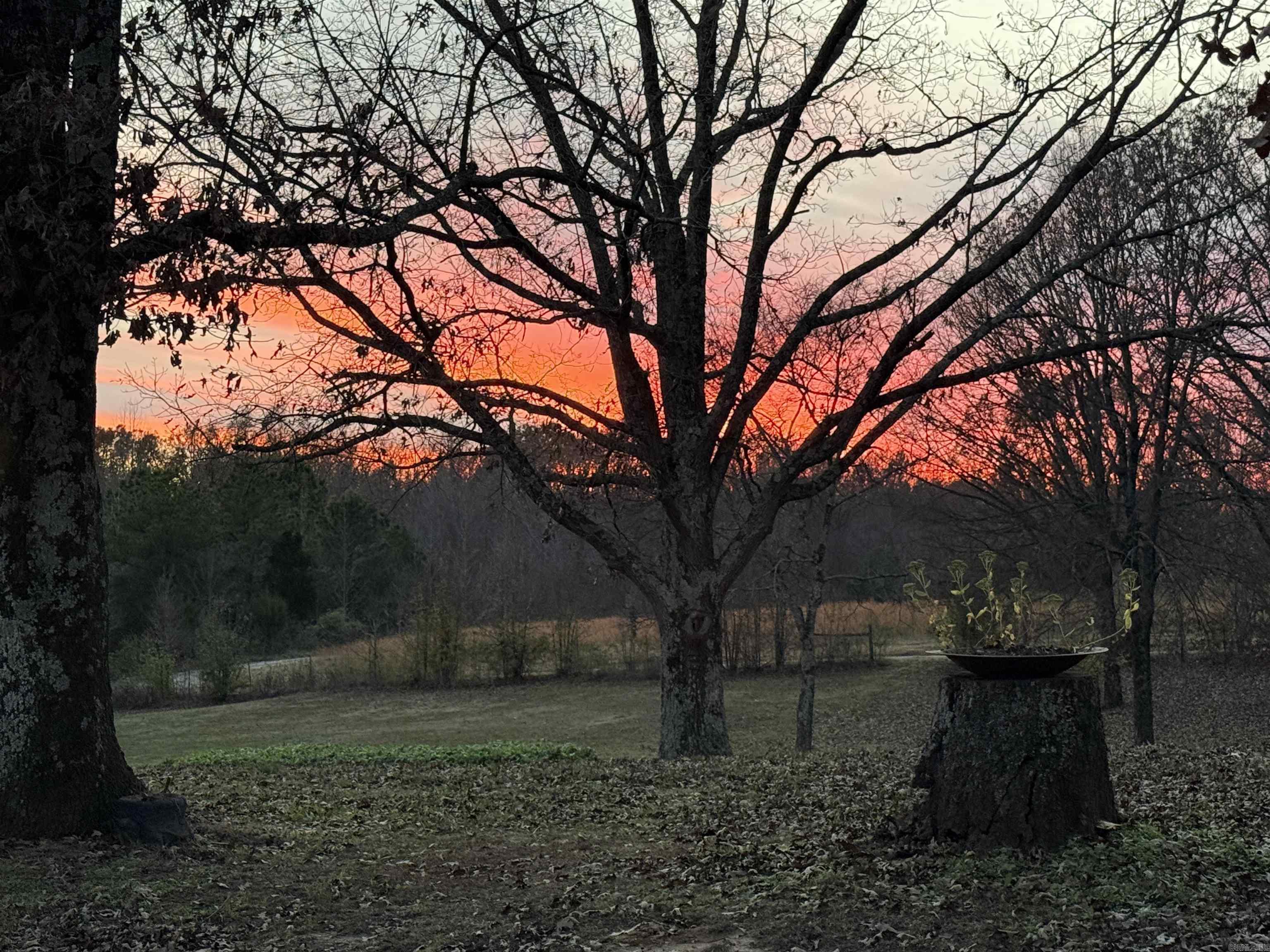 4851 County Road 745  Jonesboro, AR