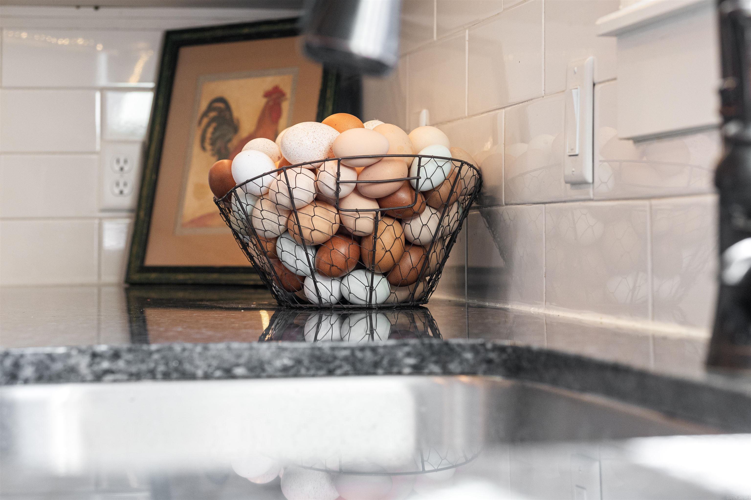 4851 County Road 745  Jonesboro, AR