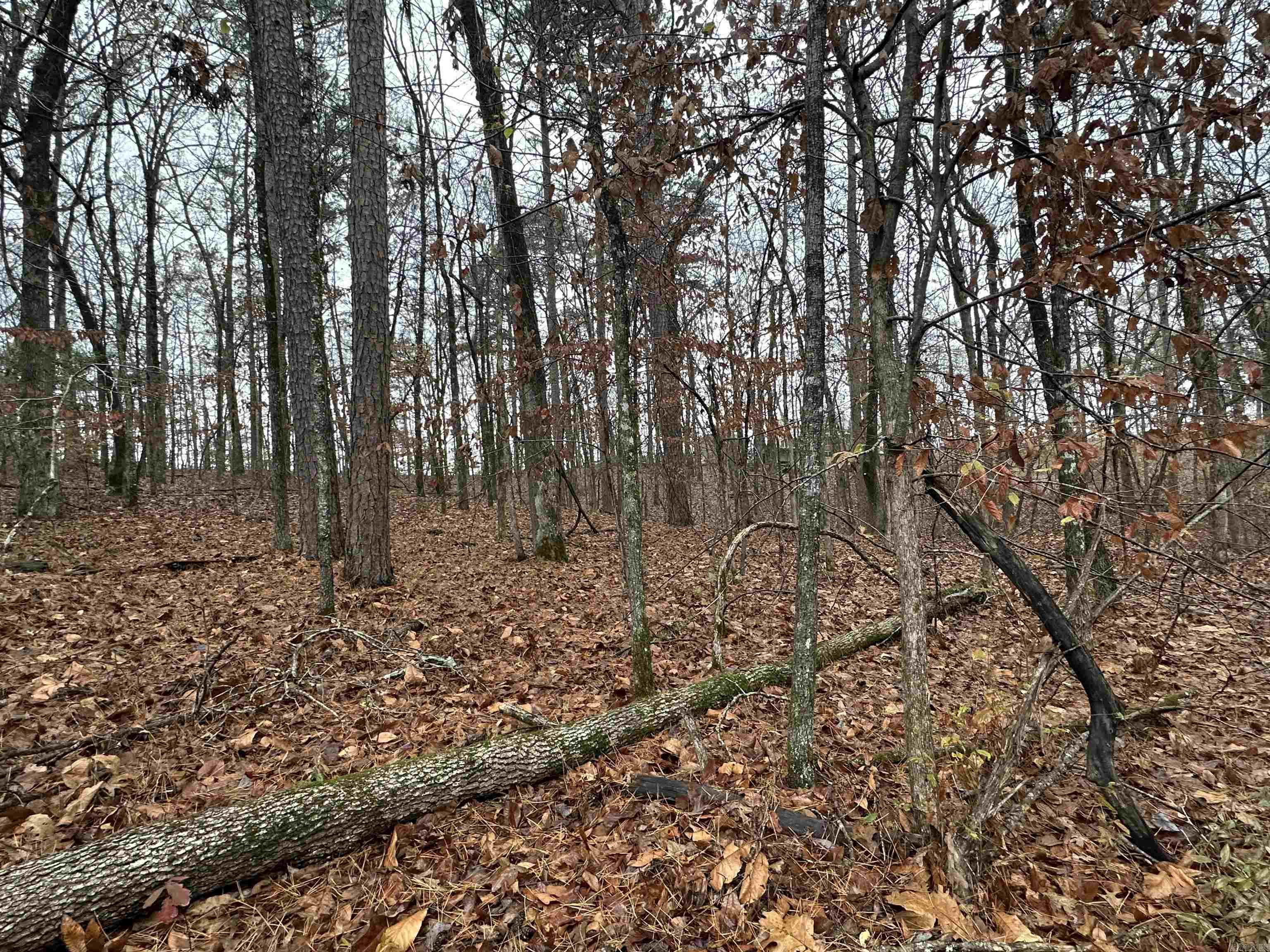 TBD Dogwood Trail  Tull, AR