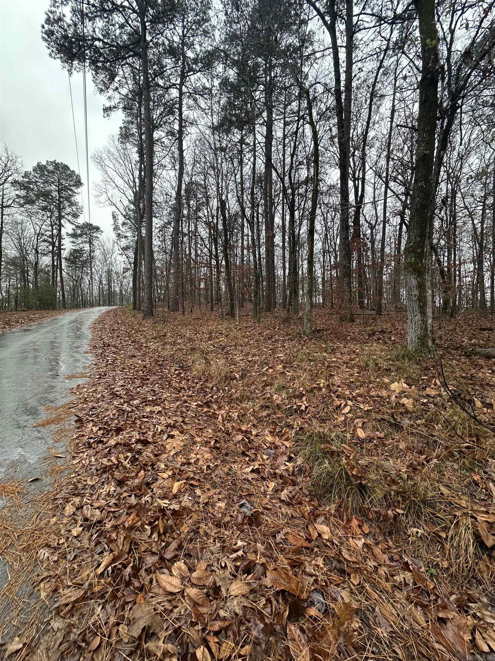 TBD Dogwood Trail  Tull, AR