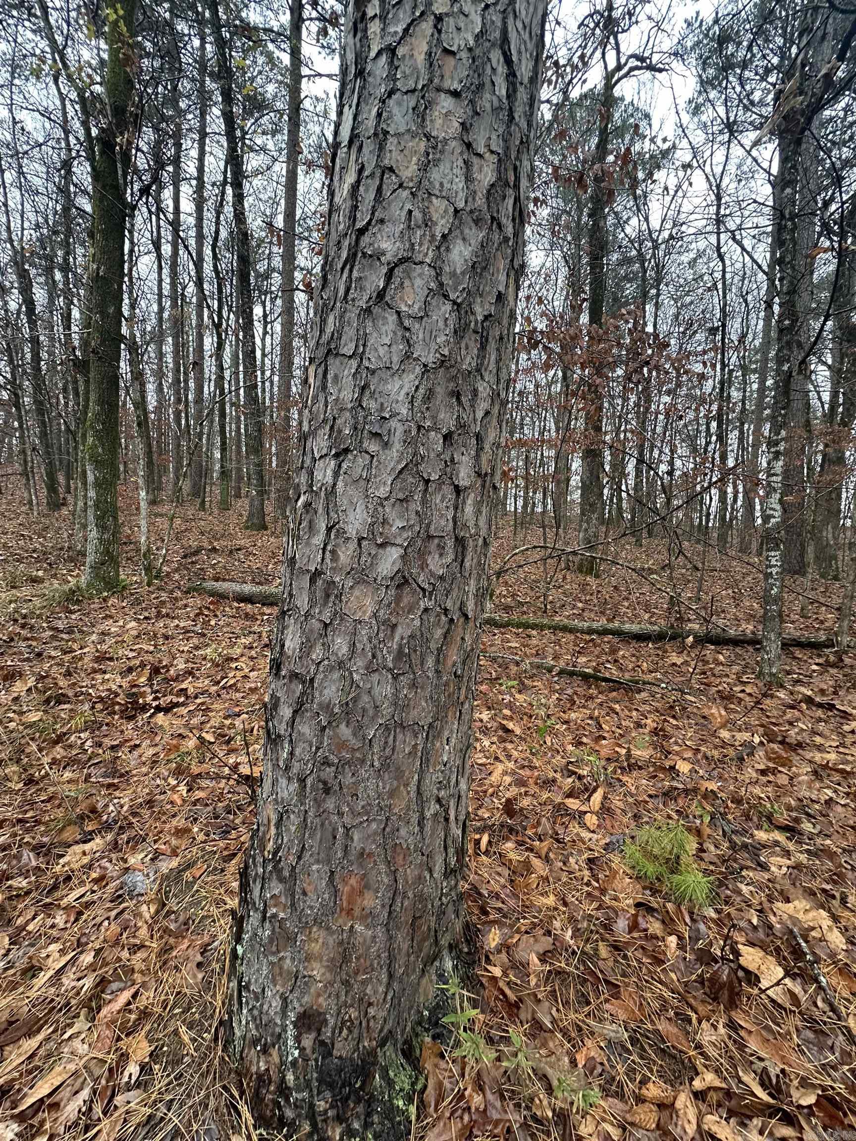 TBD Dogwood Trail  Tull, AR