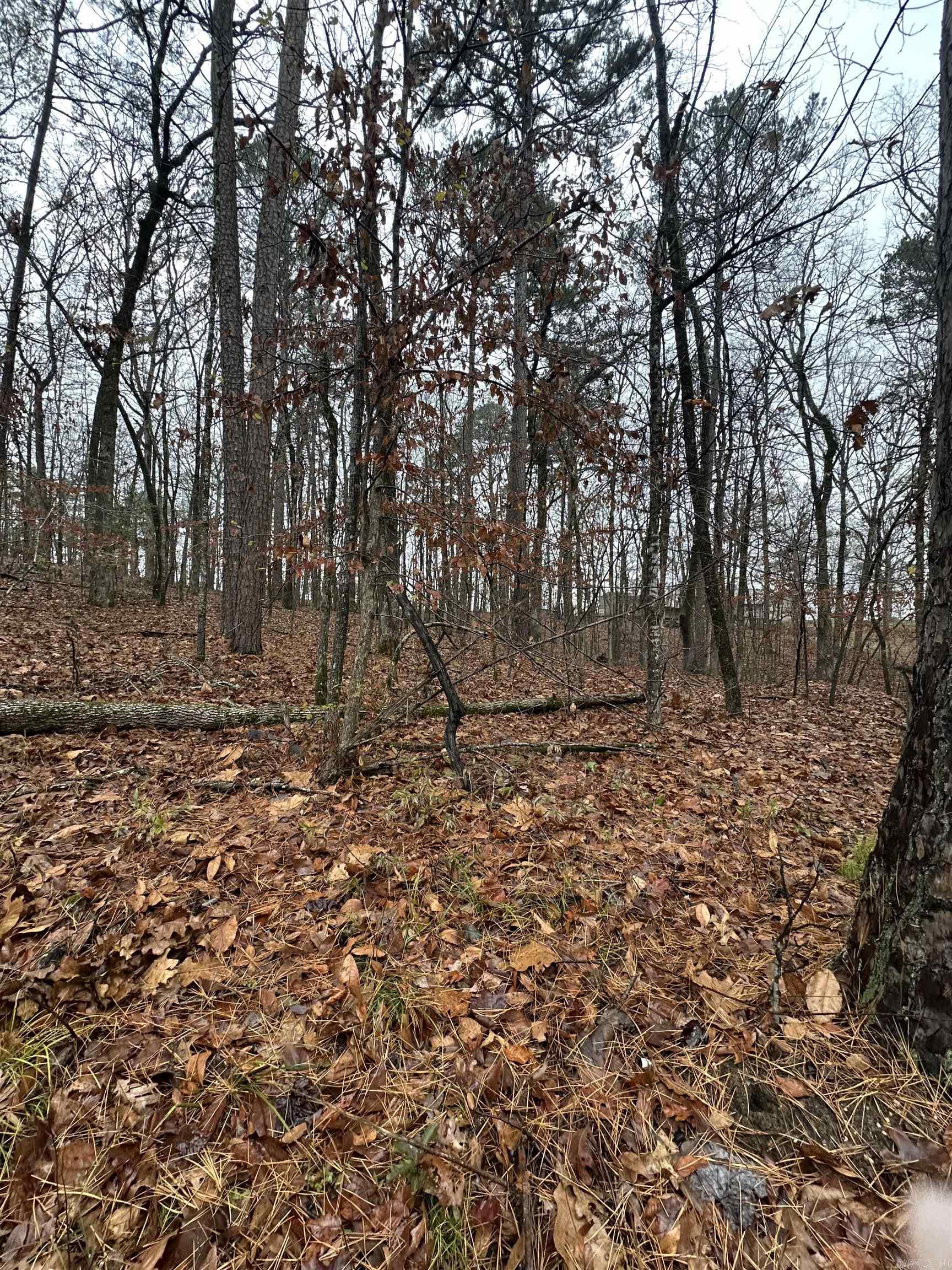 TBD Dogwood Trail  Tull, AR