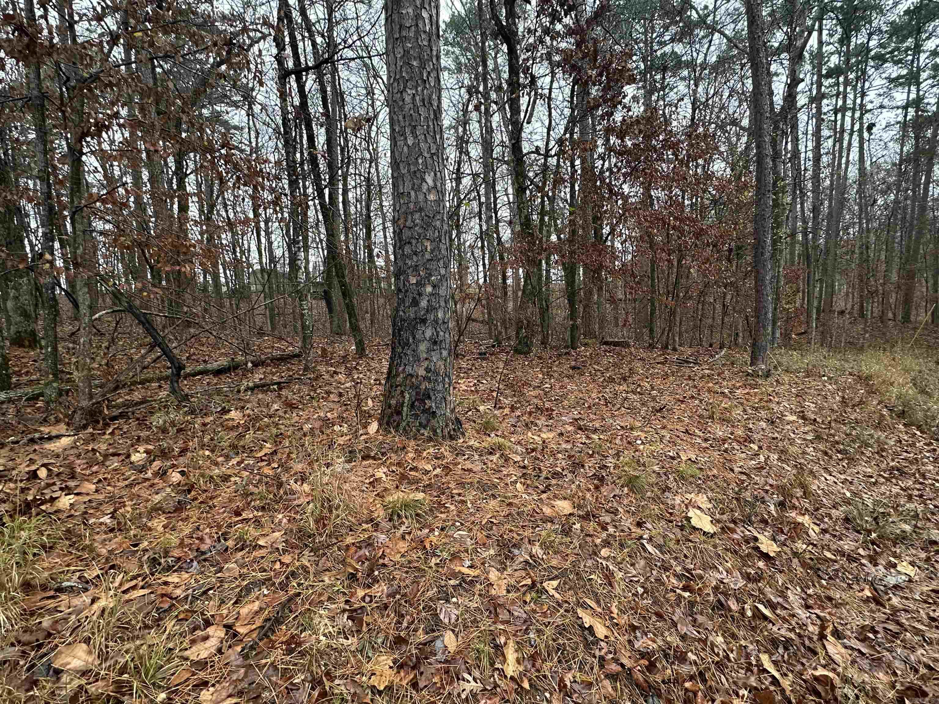 TBD Dogwood Trail  Tull, AR