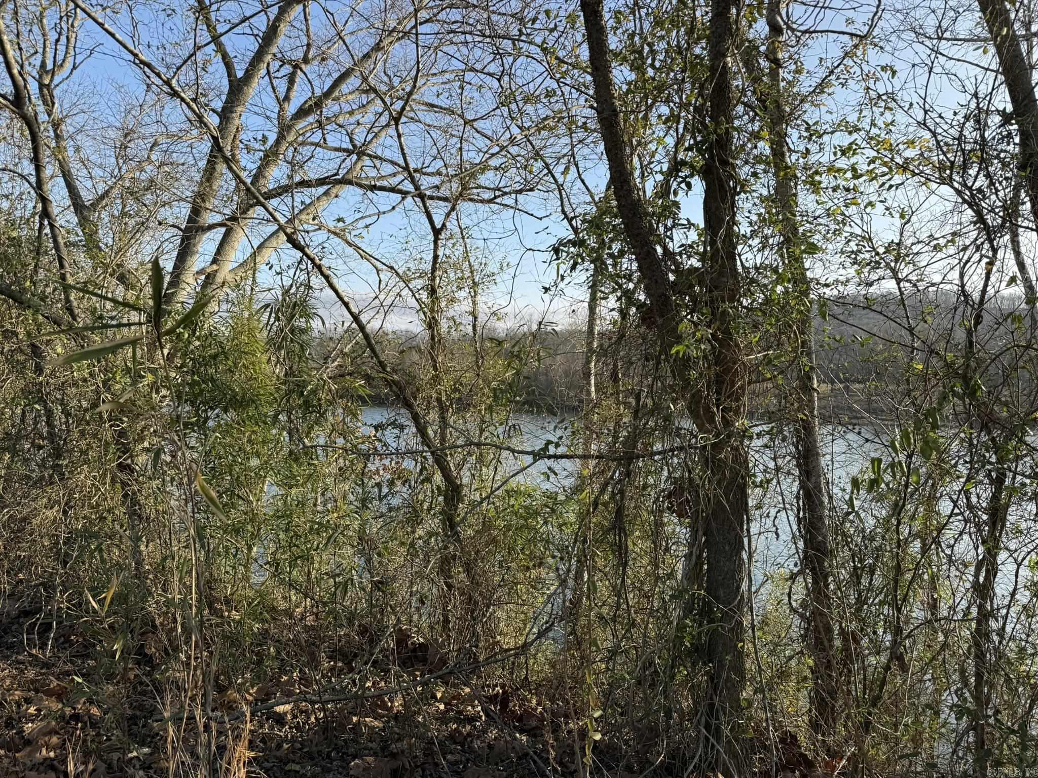 000 River Ridge Lot 19 Guion, AR