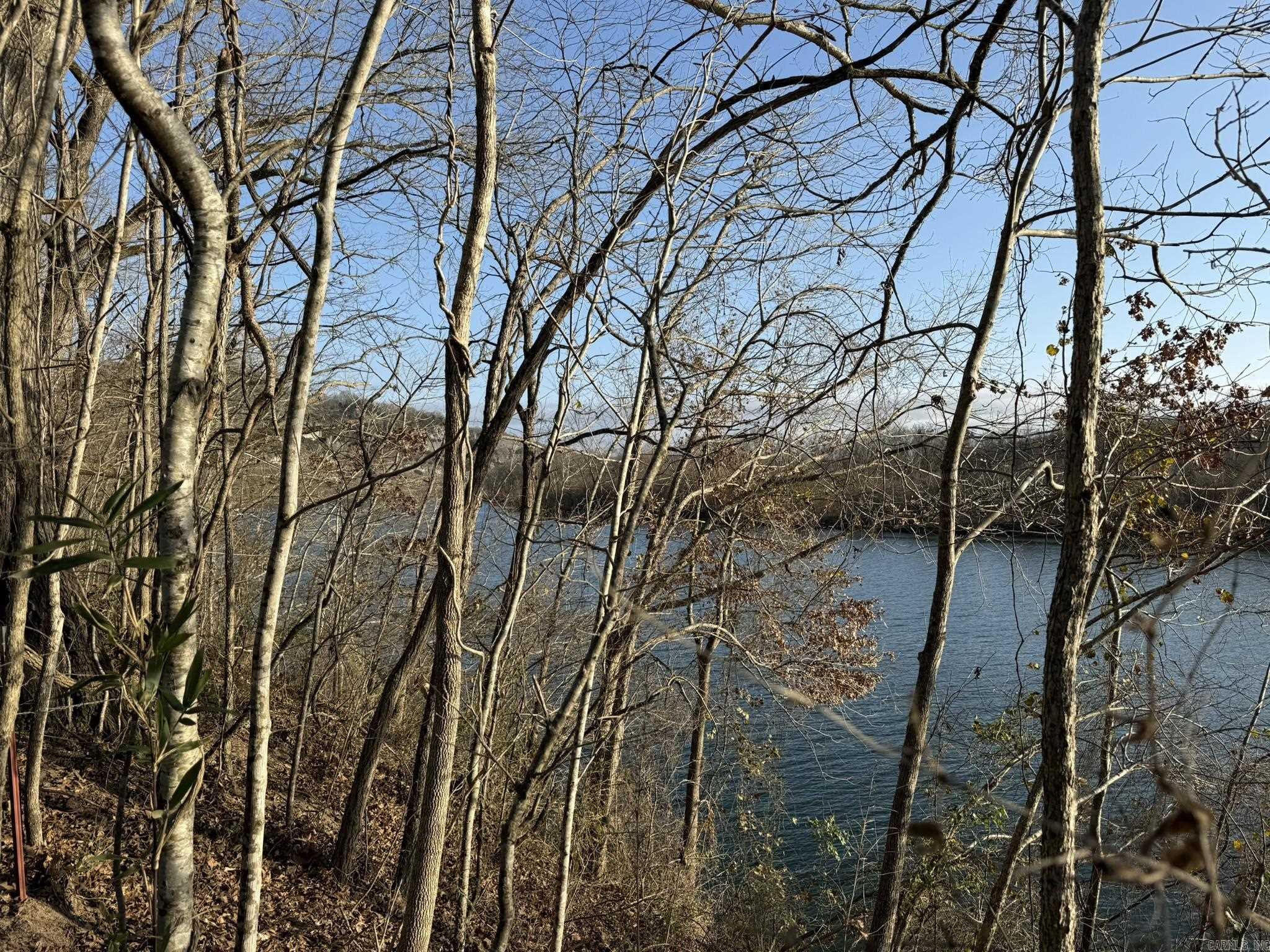 000 River Ridge Lot 20 Guion, AR