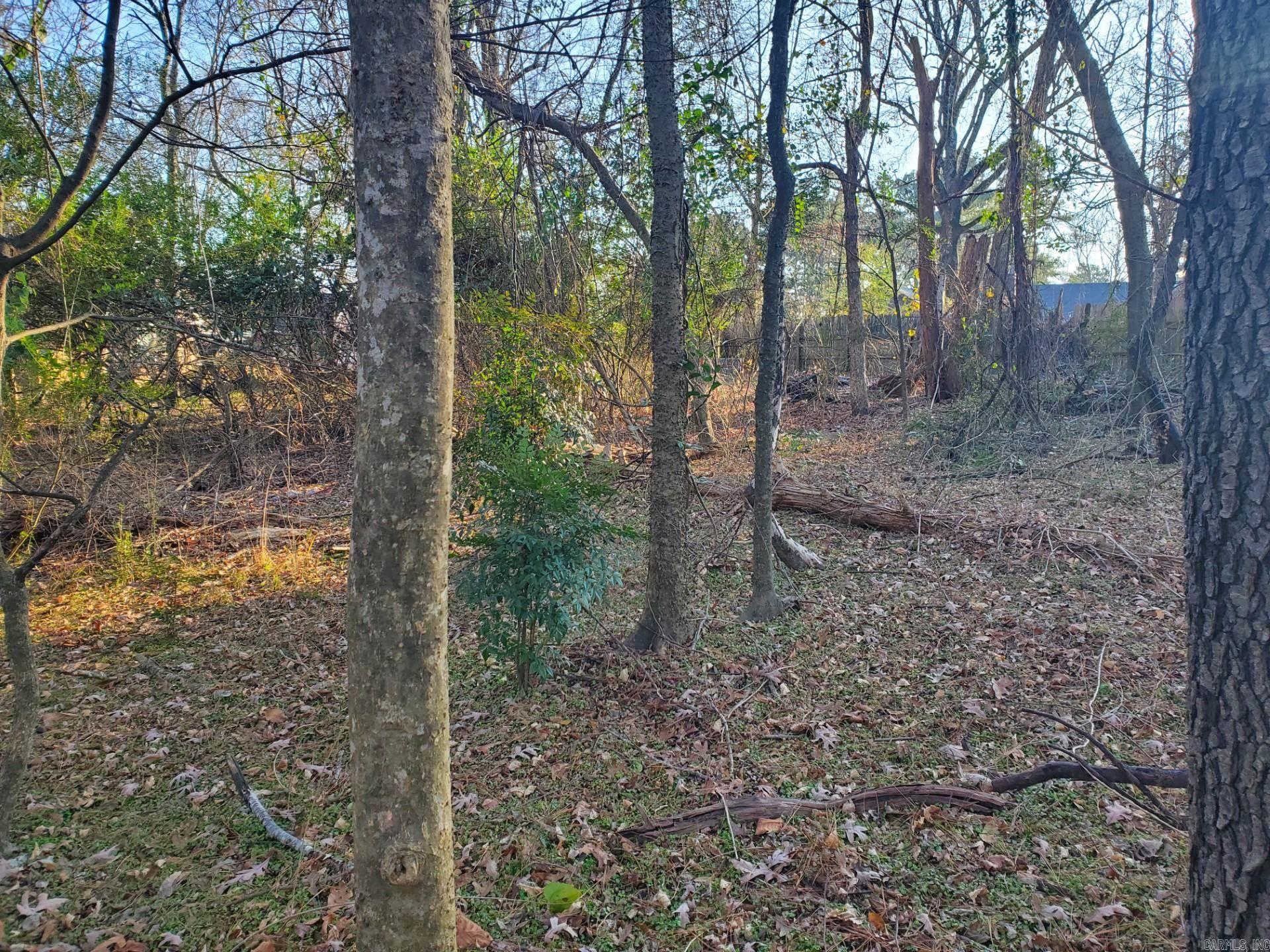 Lot 129 N 26th  Arkadelphia, AR