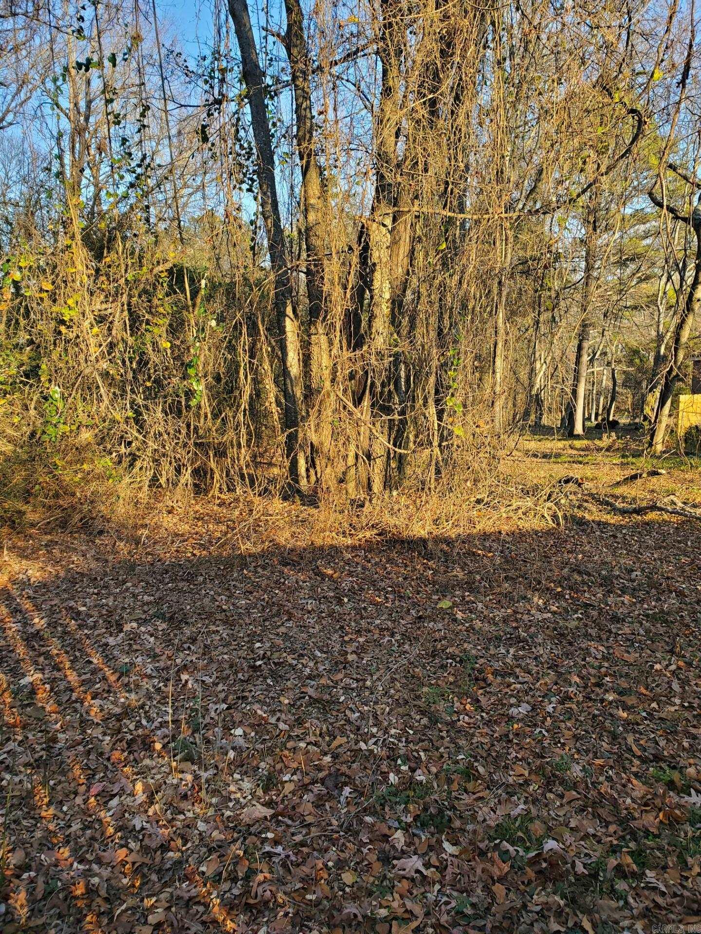 Lot 129 N 26th  Arkadelphia, AR