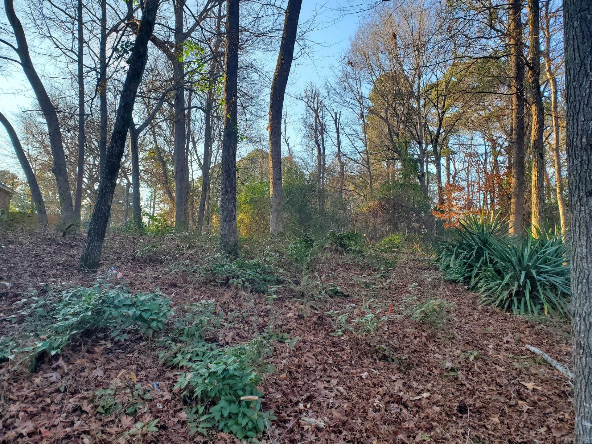 Lot 129 N 26th  Arkadelphia, AR