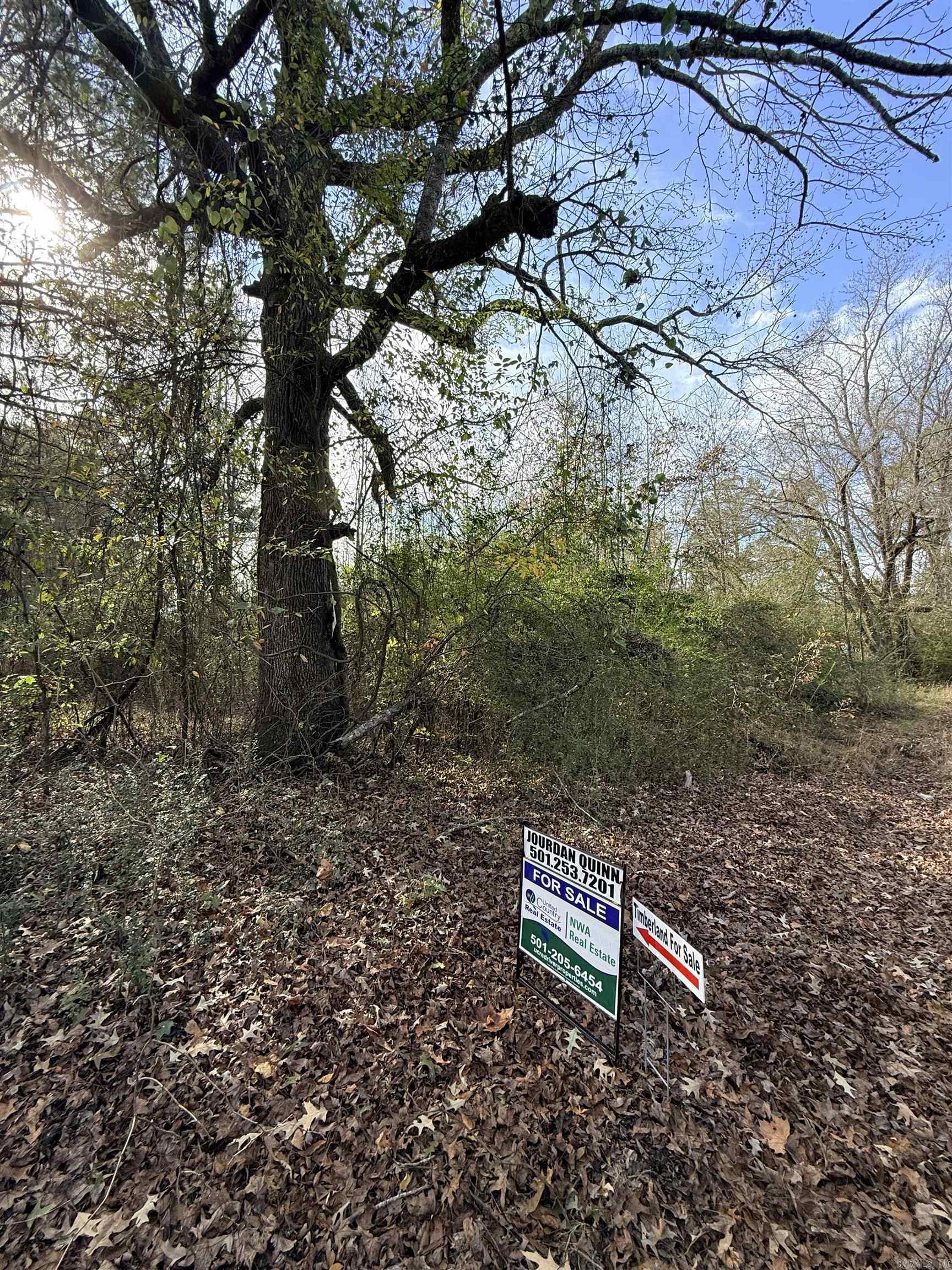 TBD S Highway 11  Star City, AR