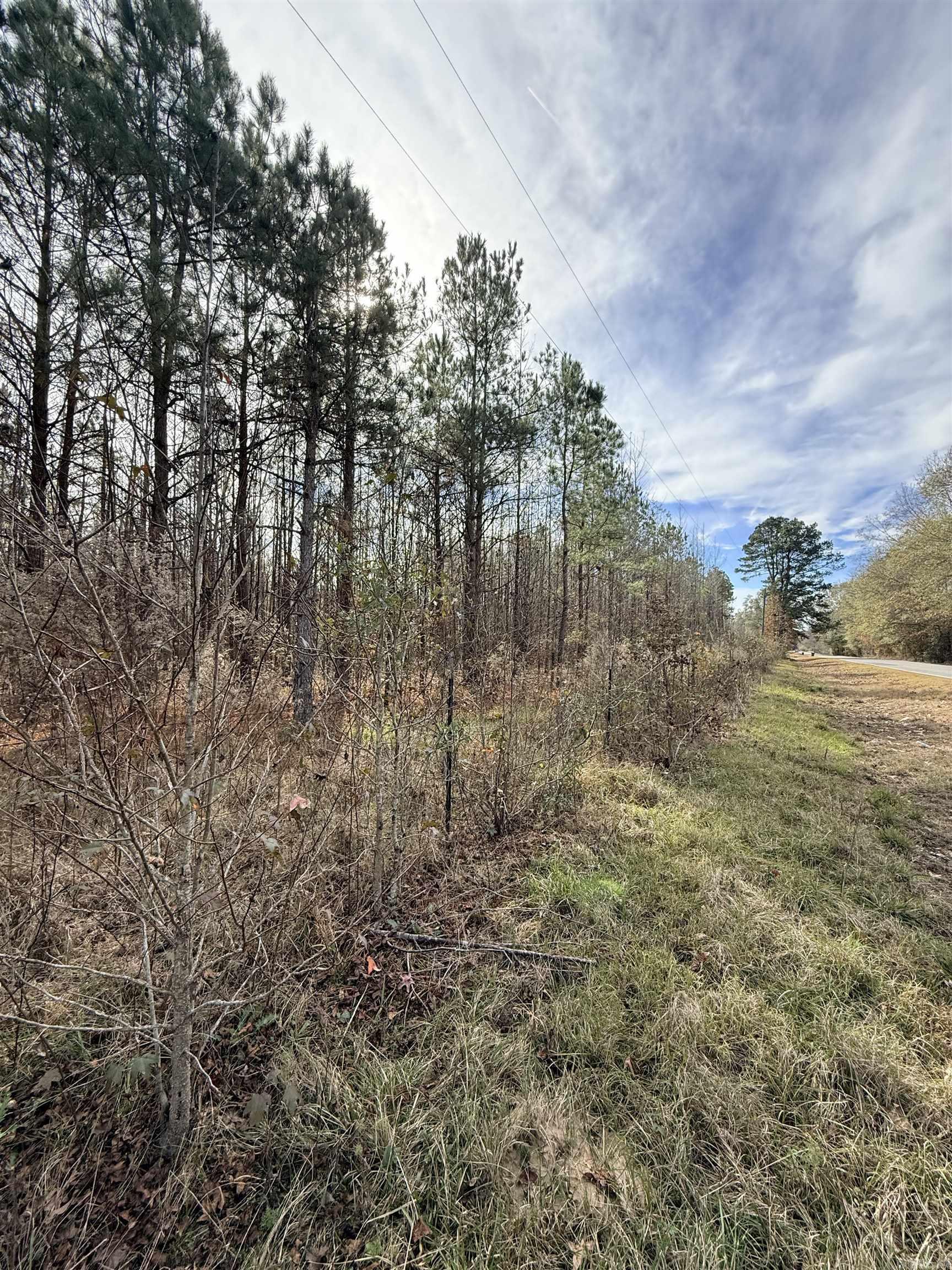 TBD S Highway 11  Star City, AR