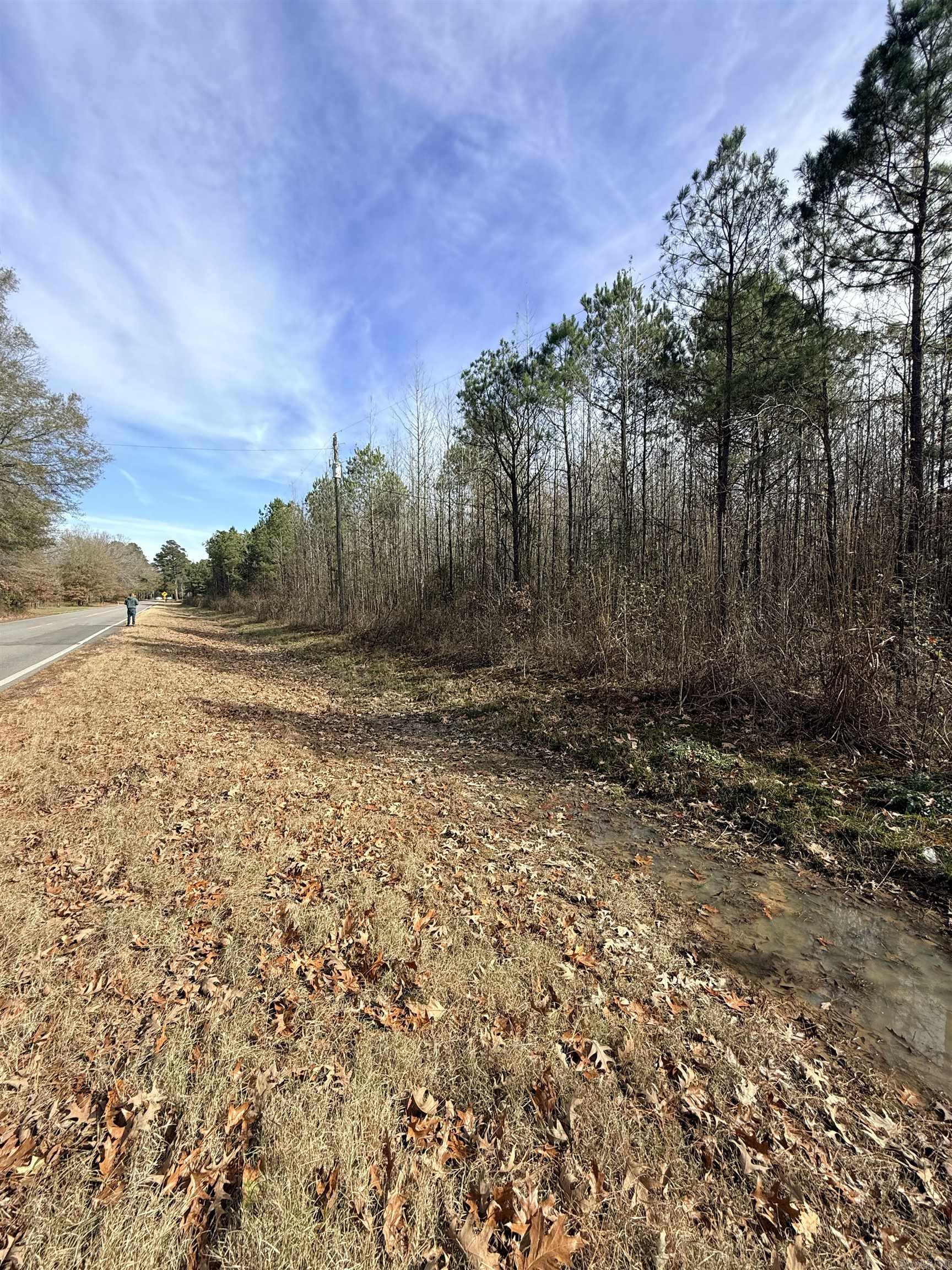 TBD S Highway 11  Star City, AR