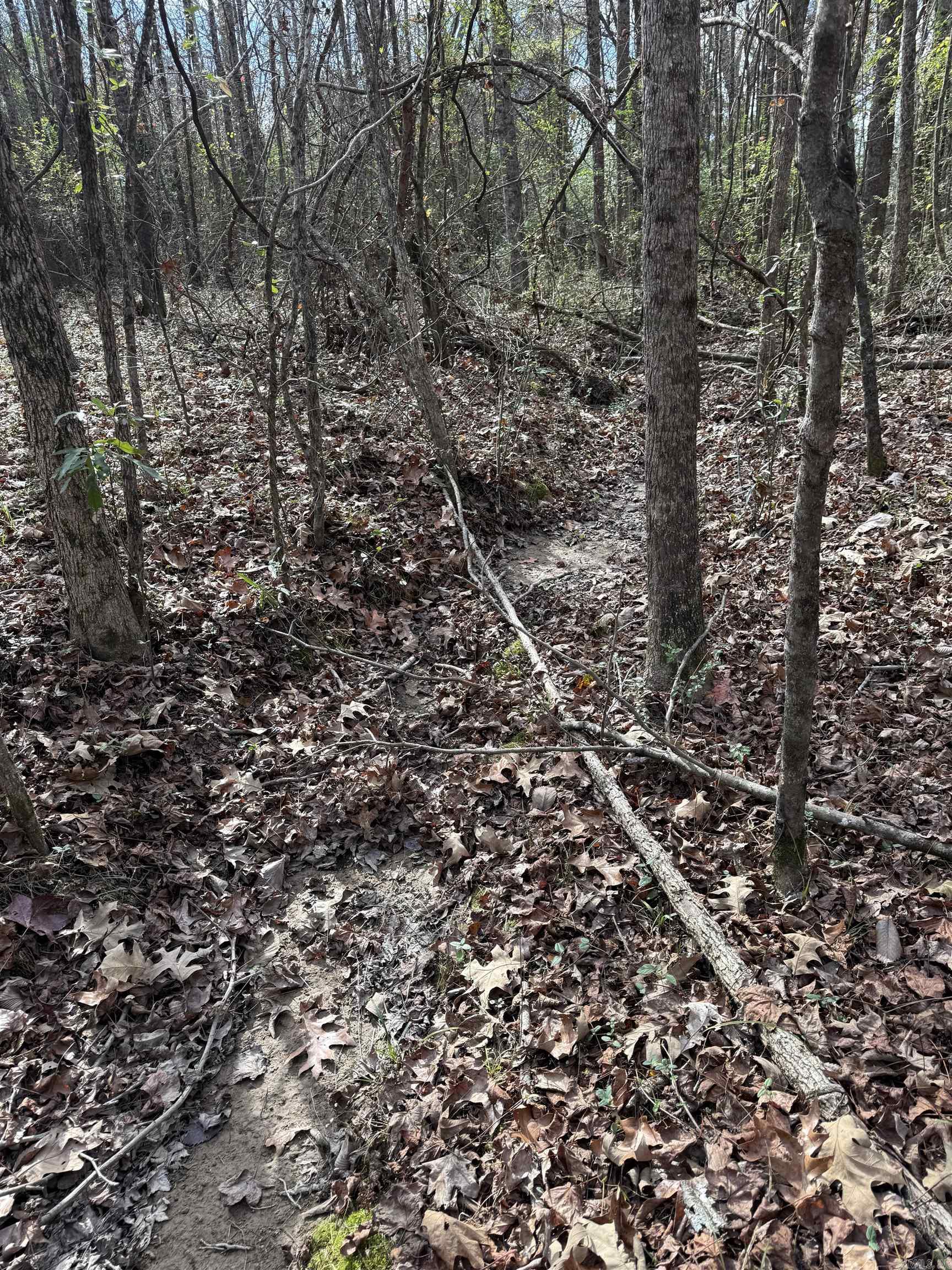 TBD S Highway 11  Star City, AR