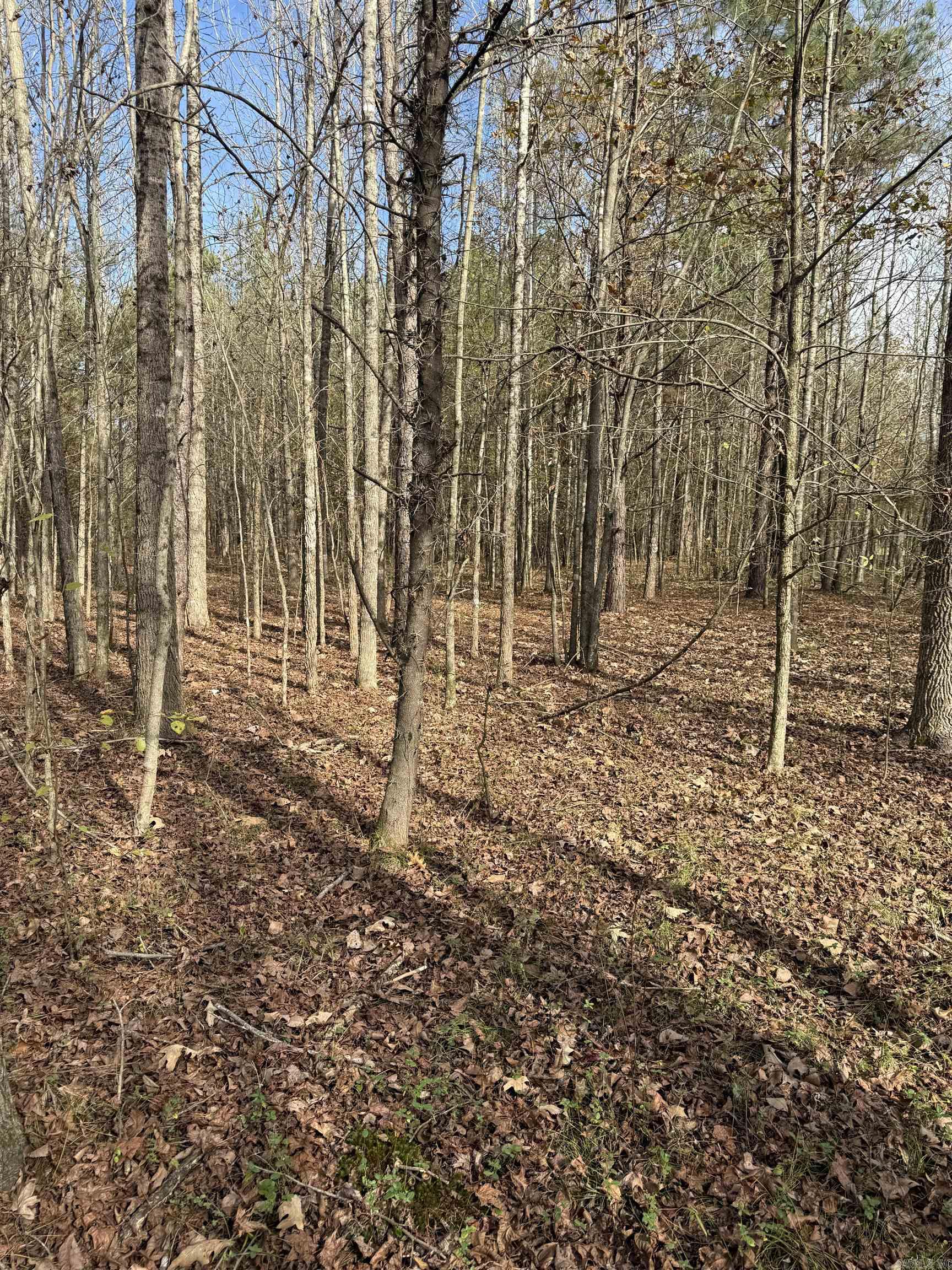 TBD S Highway 11  Star City, AR