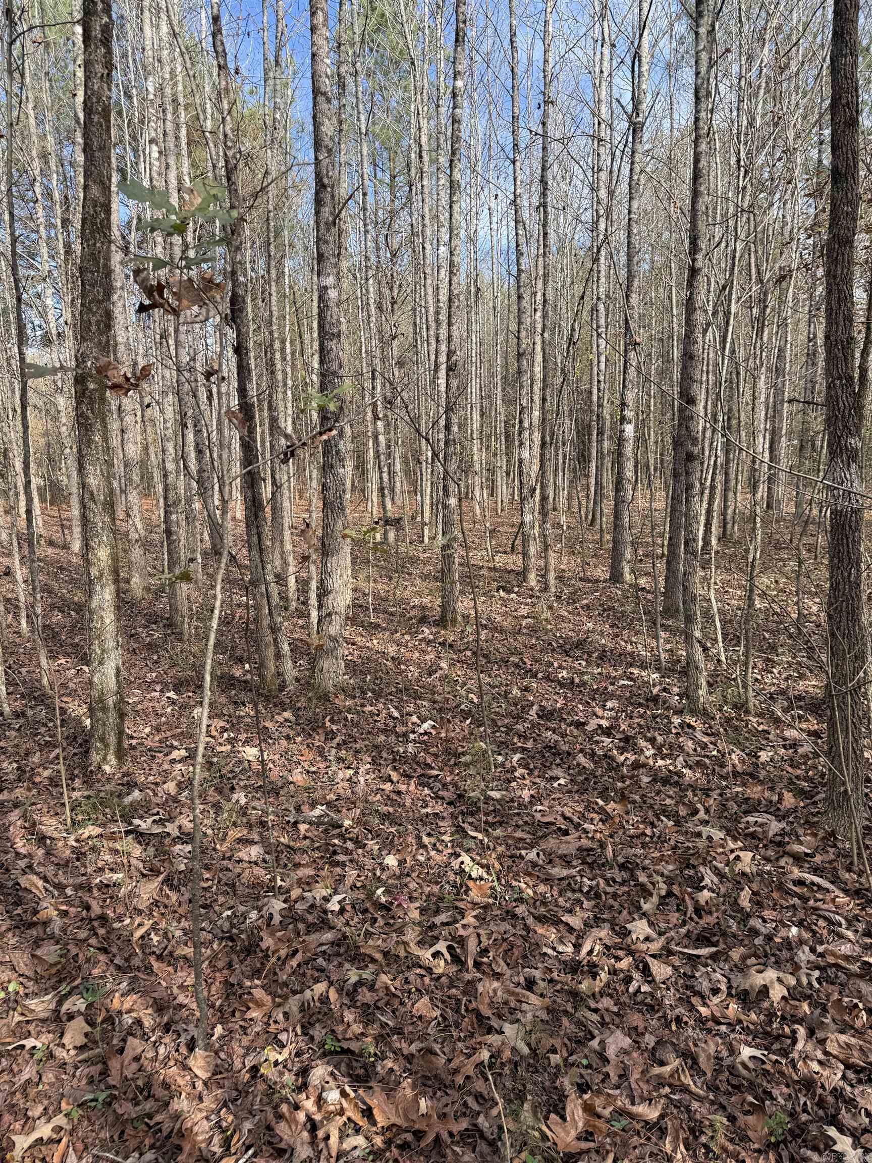 TBD S Highway 11  Star City, AR