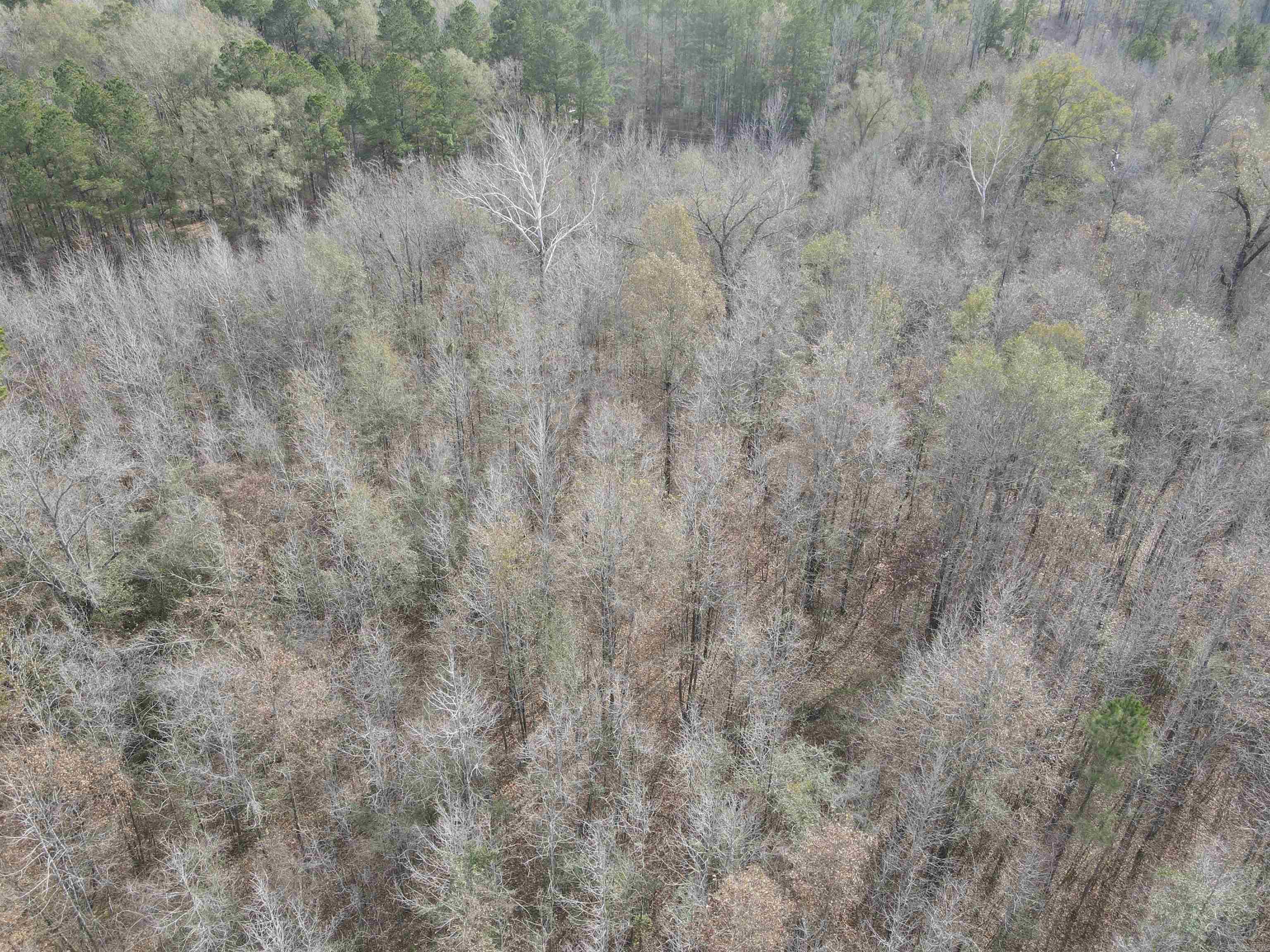 TBD S Highway 11  Star City, AR