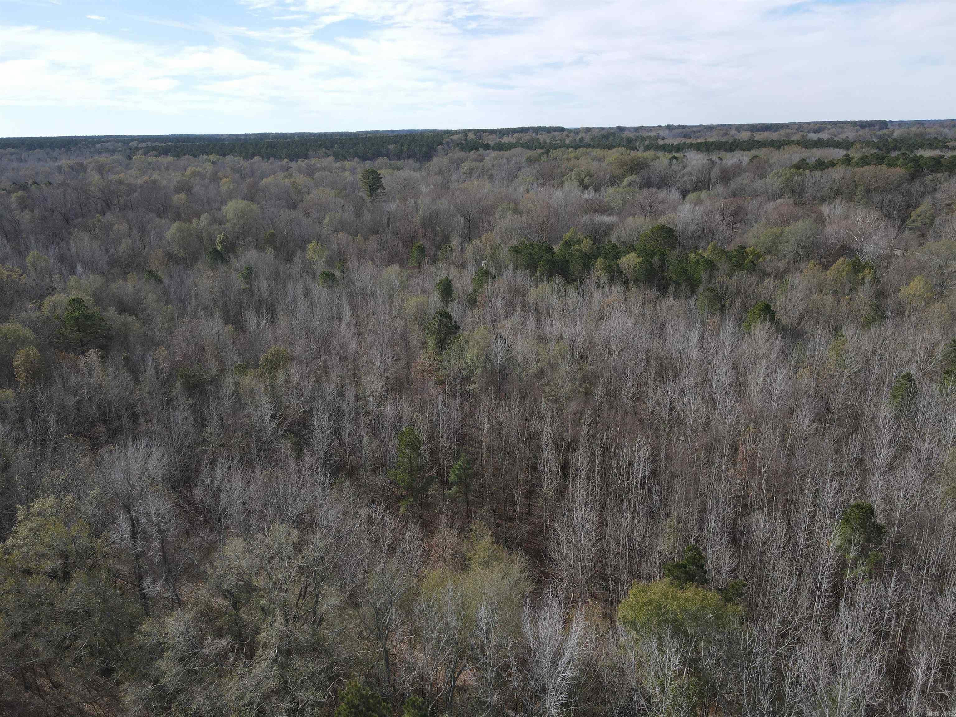 TBD S Highway 11  Star City, AR