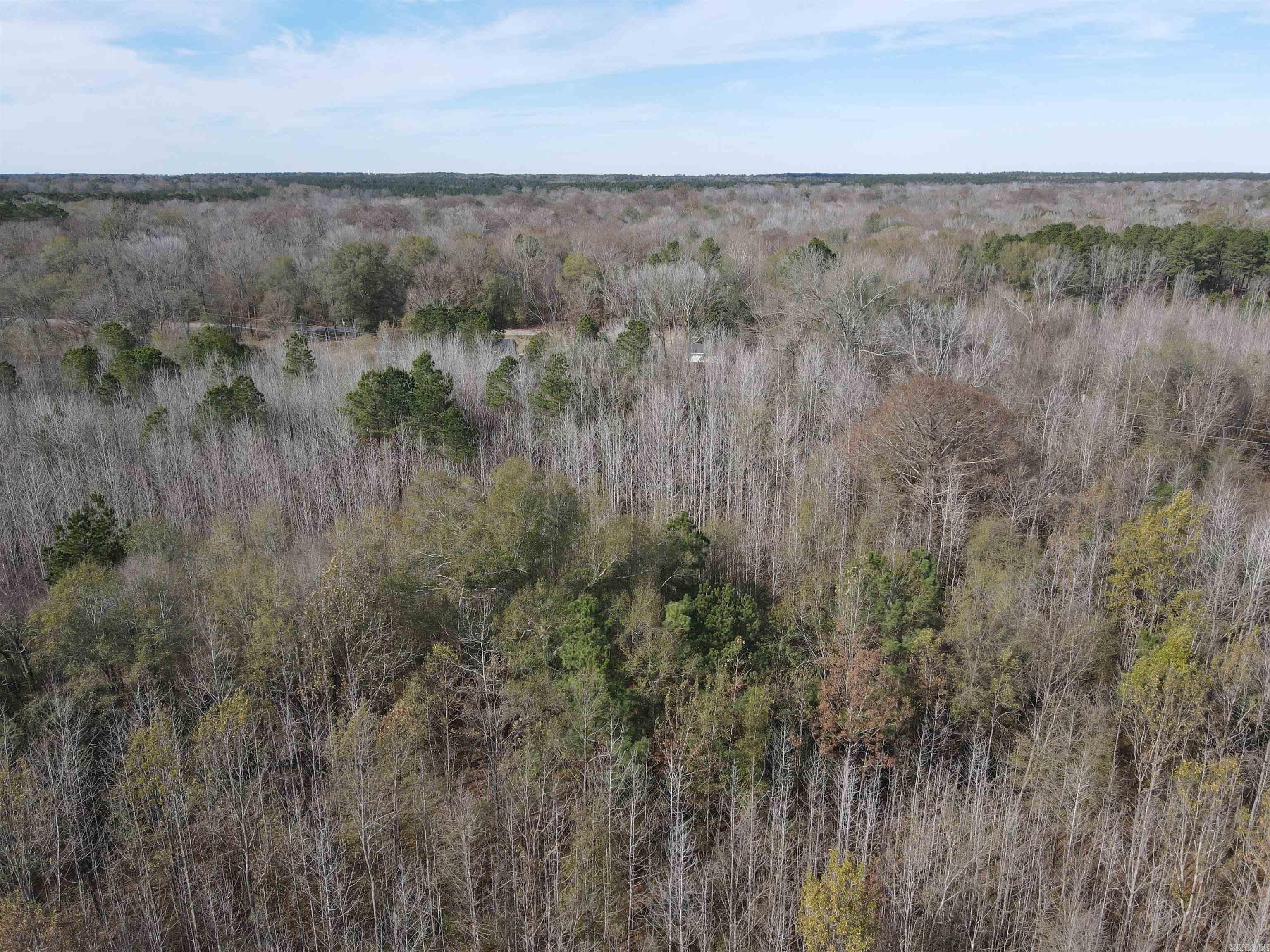 TBD S Highway 11  Star City, AR