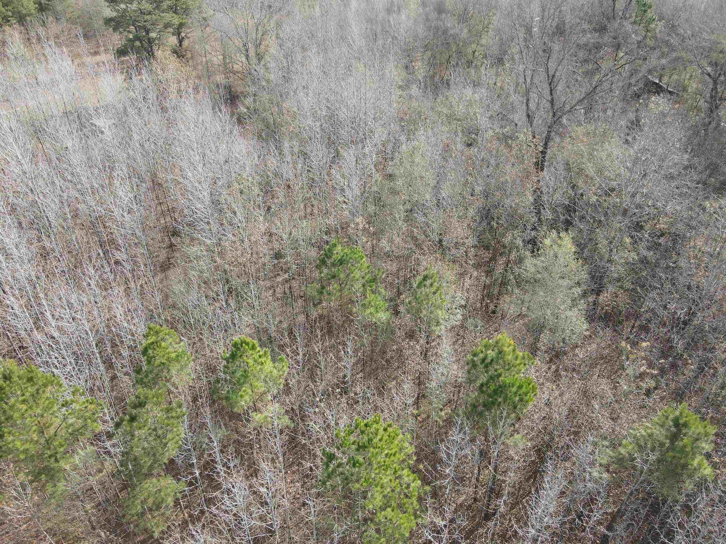 TBD S Highway 11  Star City, AR