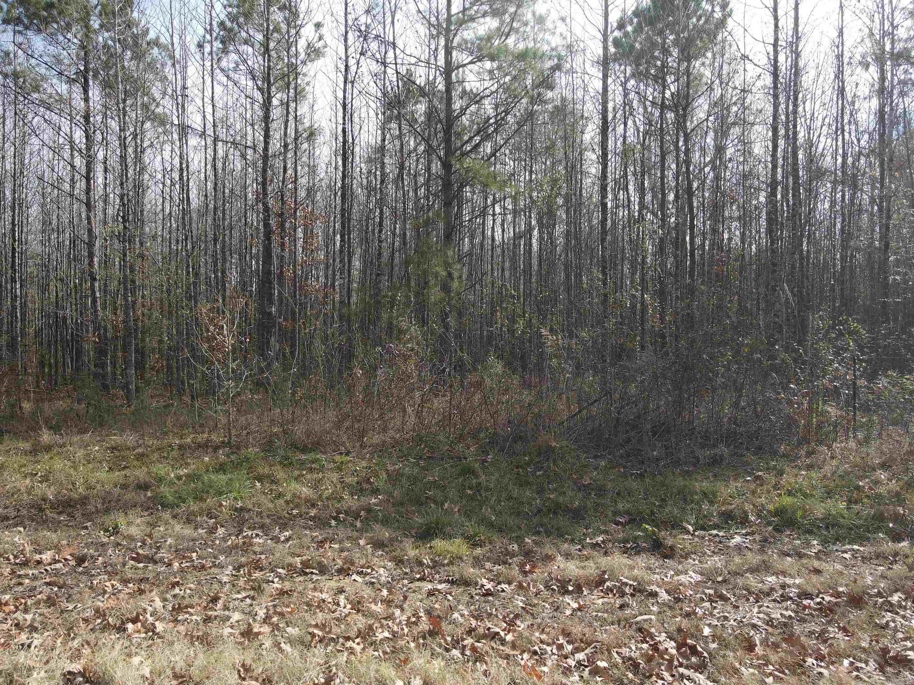 TBD S Highway 11  Star City, AR