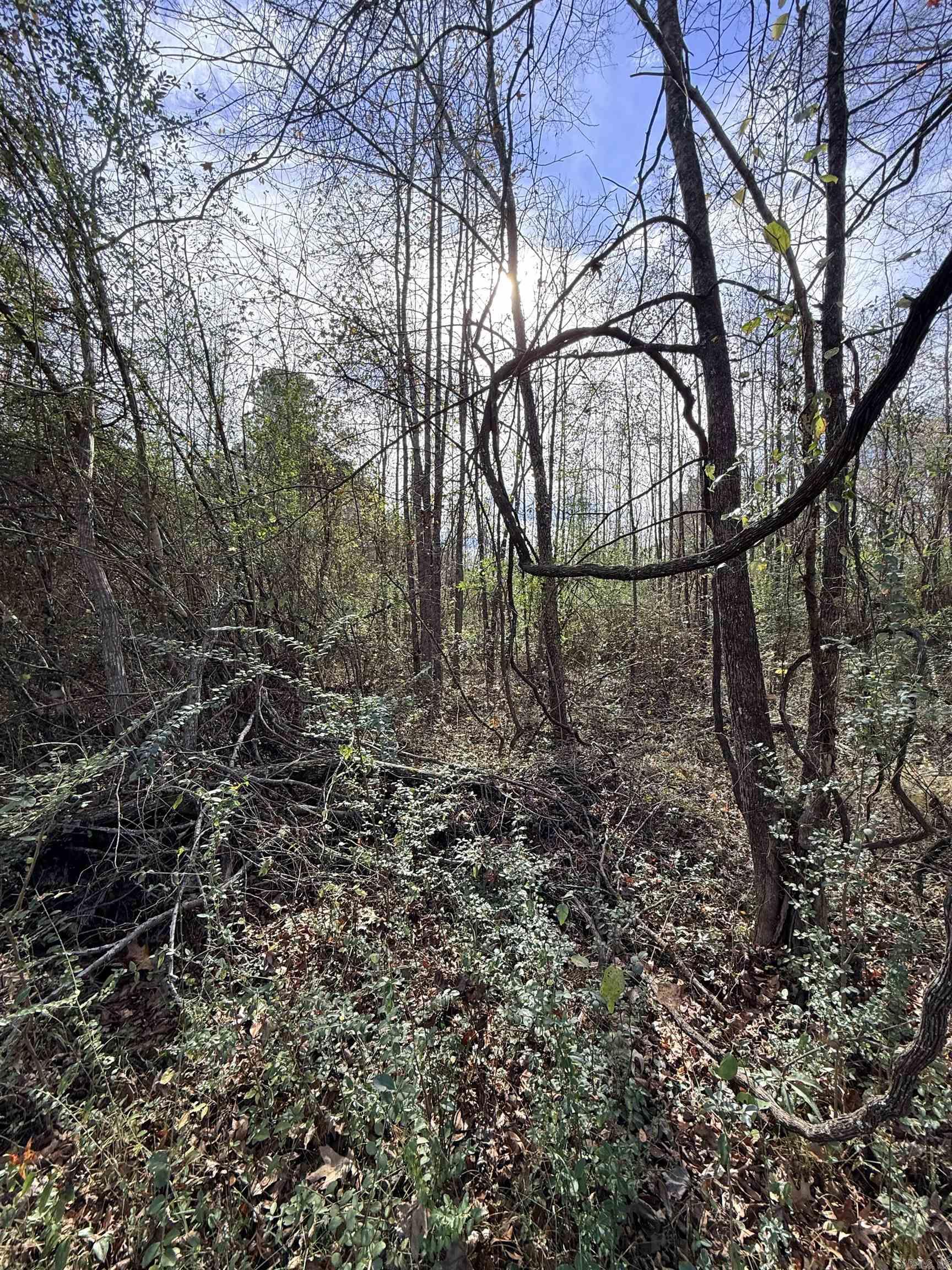 TBD S Highway 11  Star City, AR