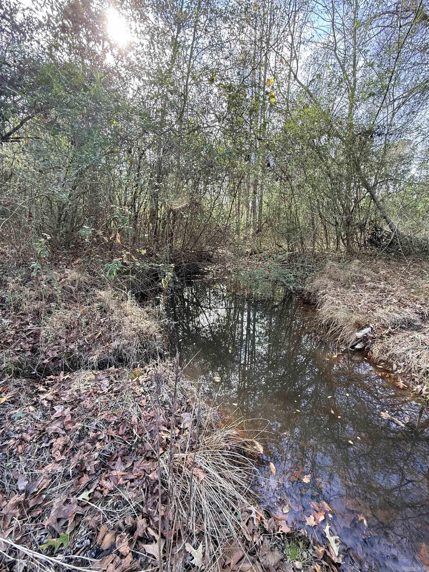 TBD S Highway 11  Star City, AR