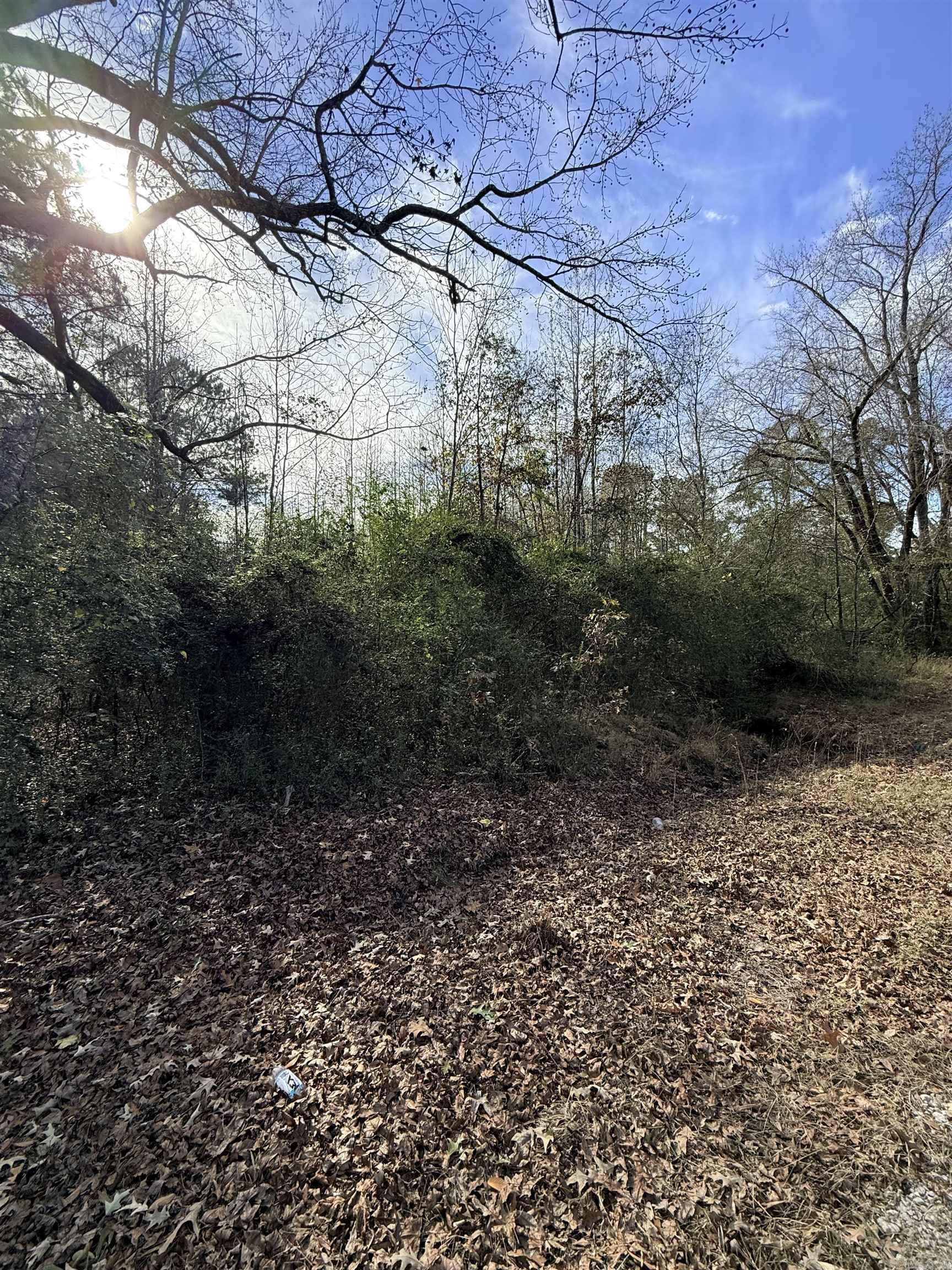 TBD S Highway 11  Star City, AR