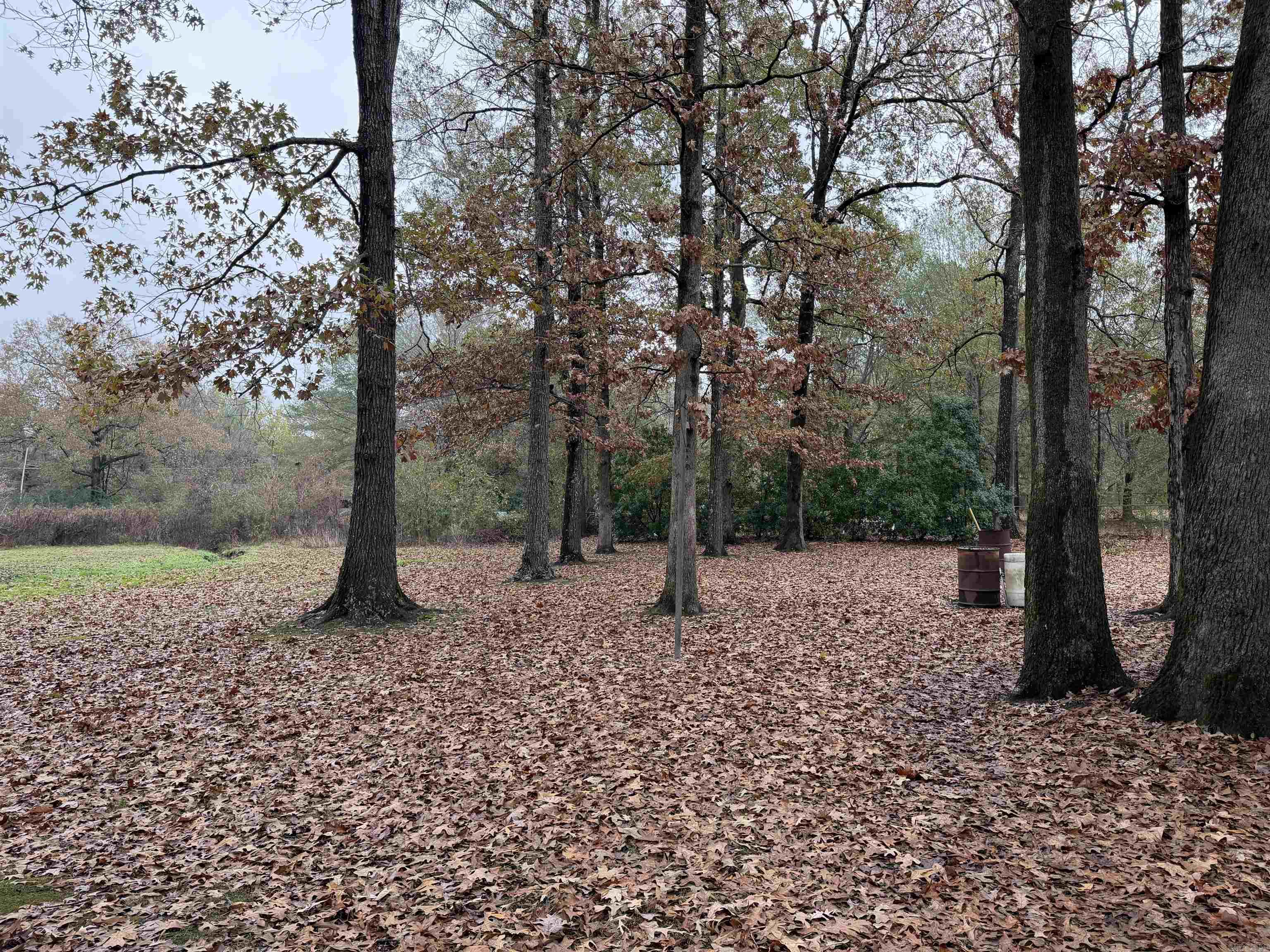 7205 Oxford Drive  Pine Bluff, AR