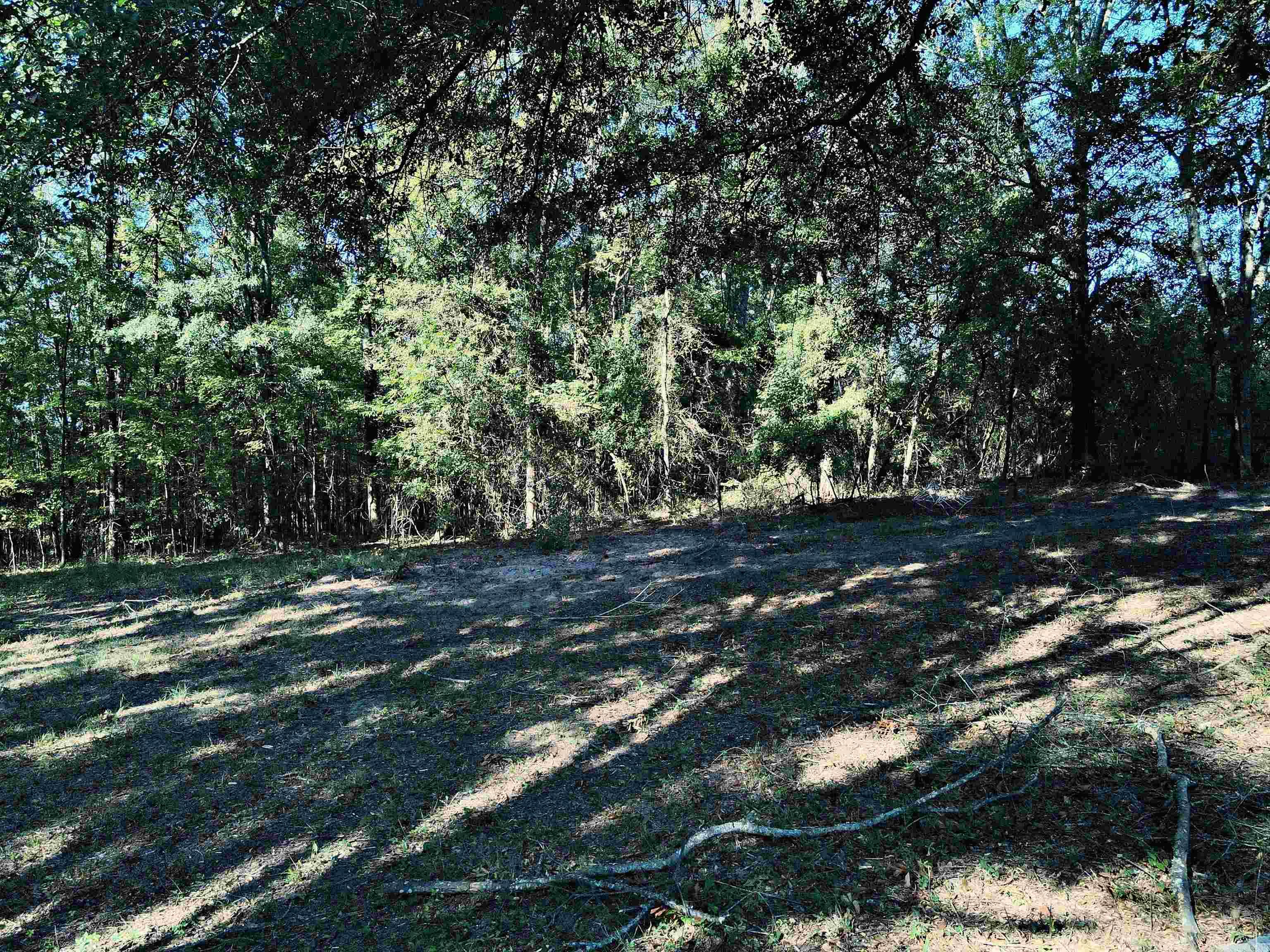 TBD Scottish  Bismarck, AR