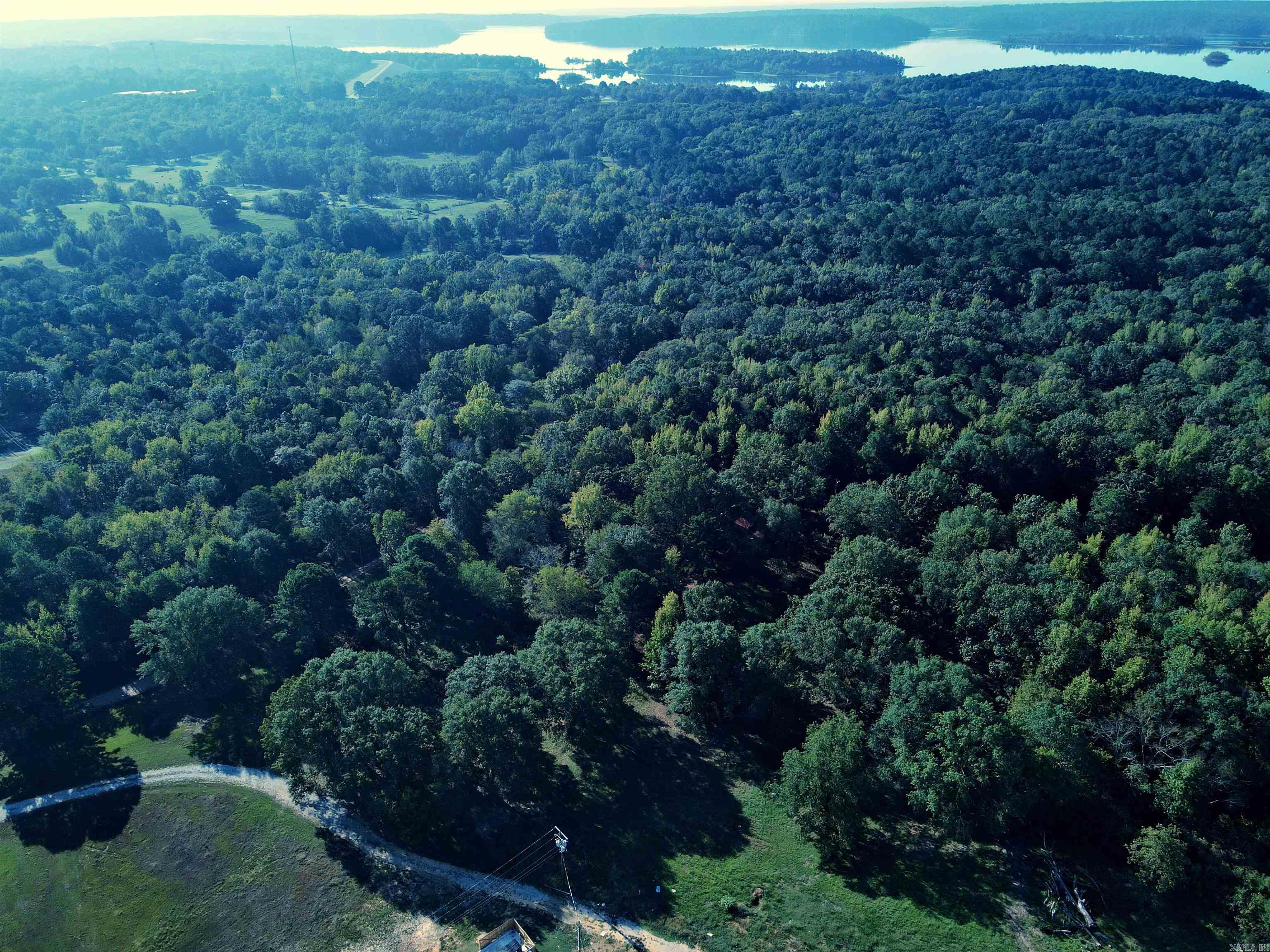 TBD Scottish  Bismarck, AR