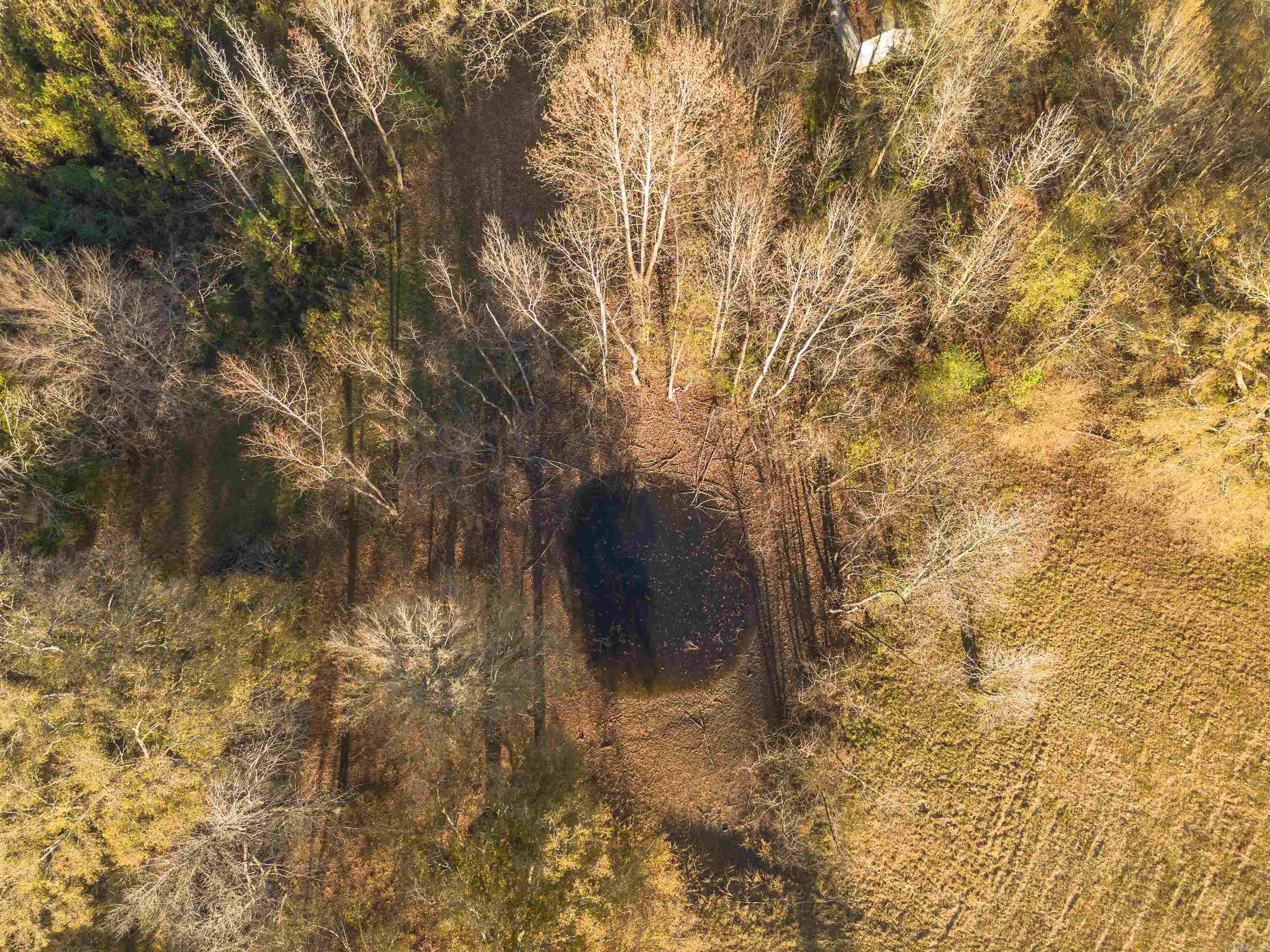 137 Union Rd.  Greenbrier, AR