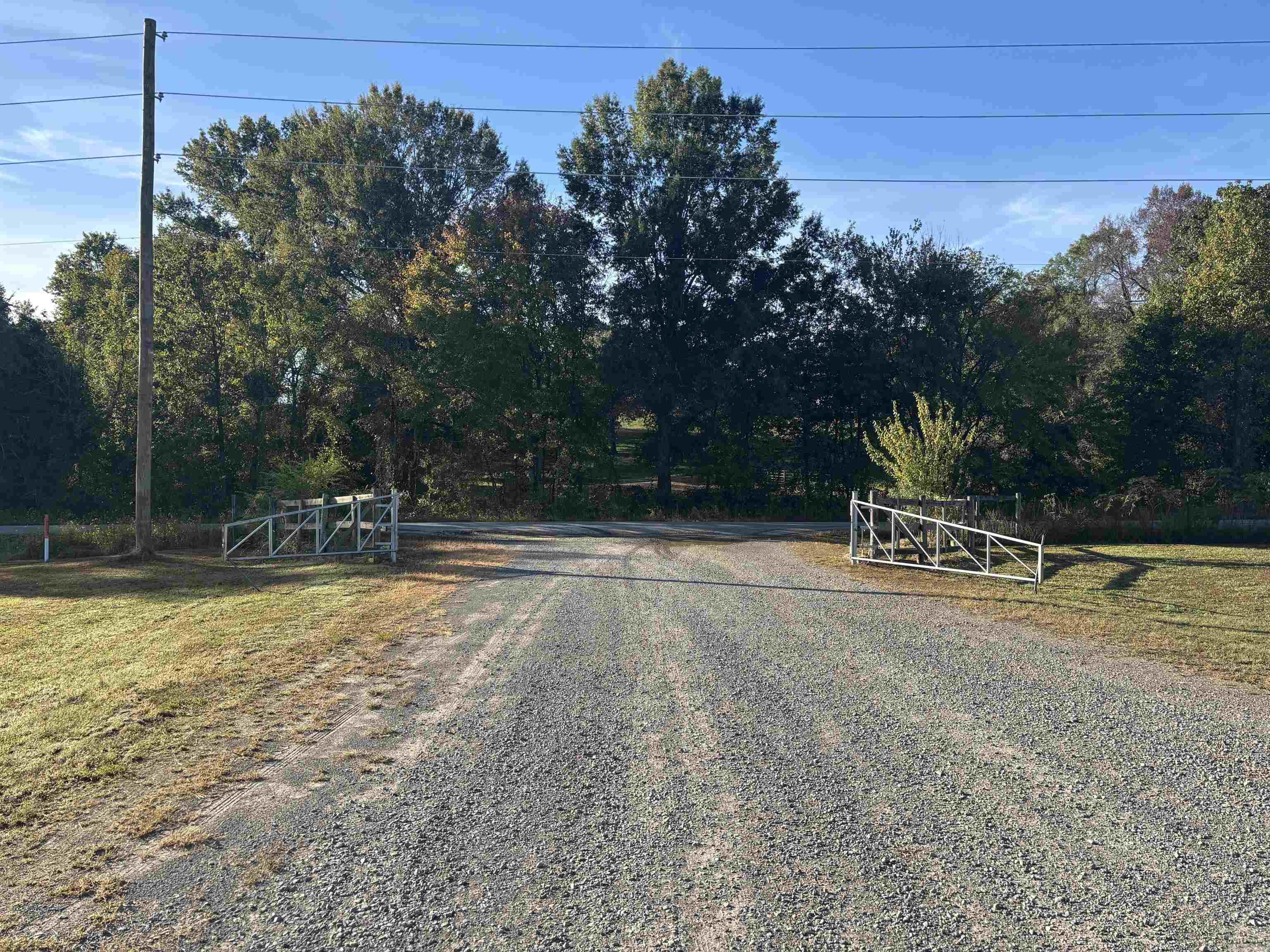 19 Diamond Ice  Greenbrier, AR