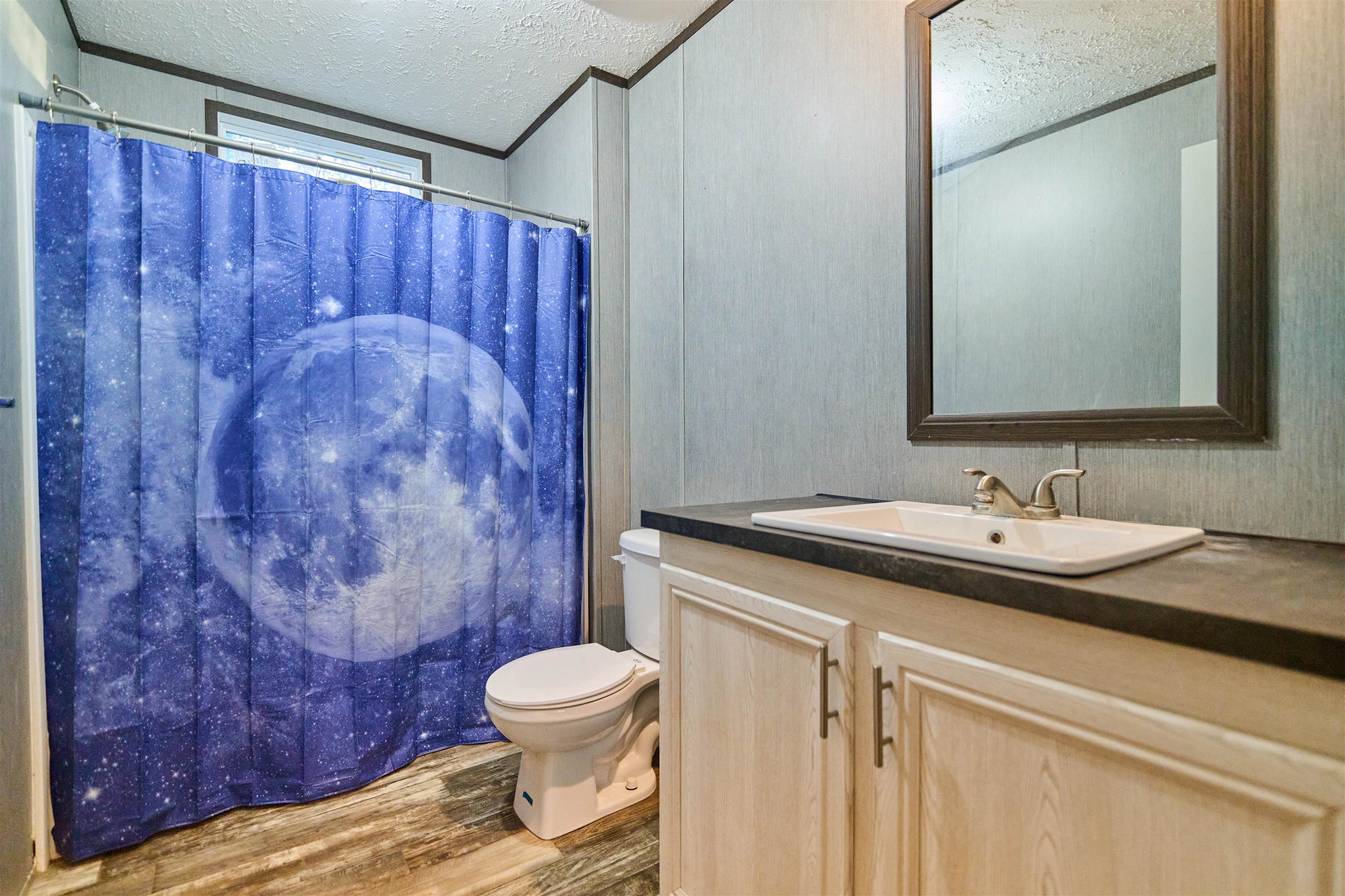 649 Needles Eye Trl  Mammoth Spring, AR